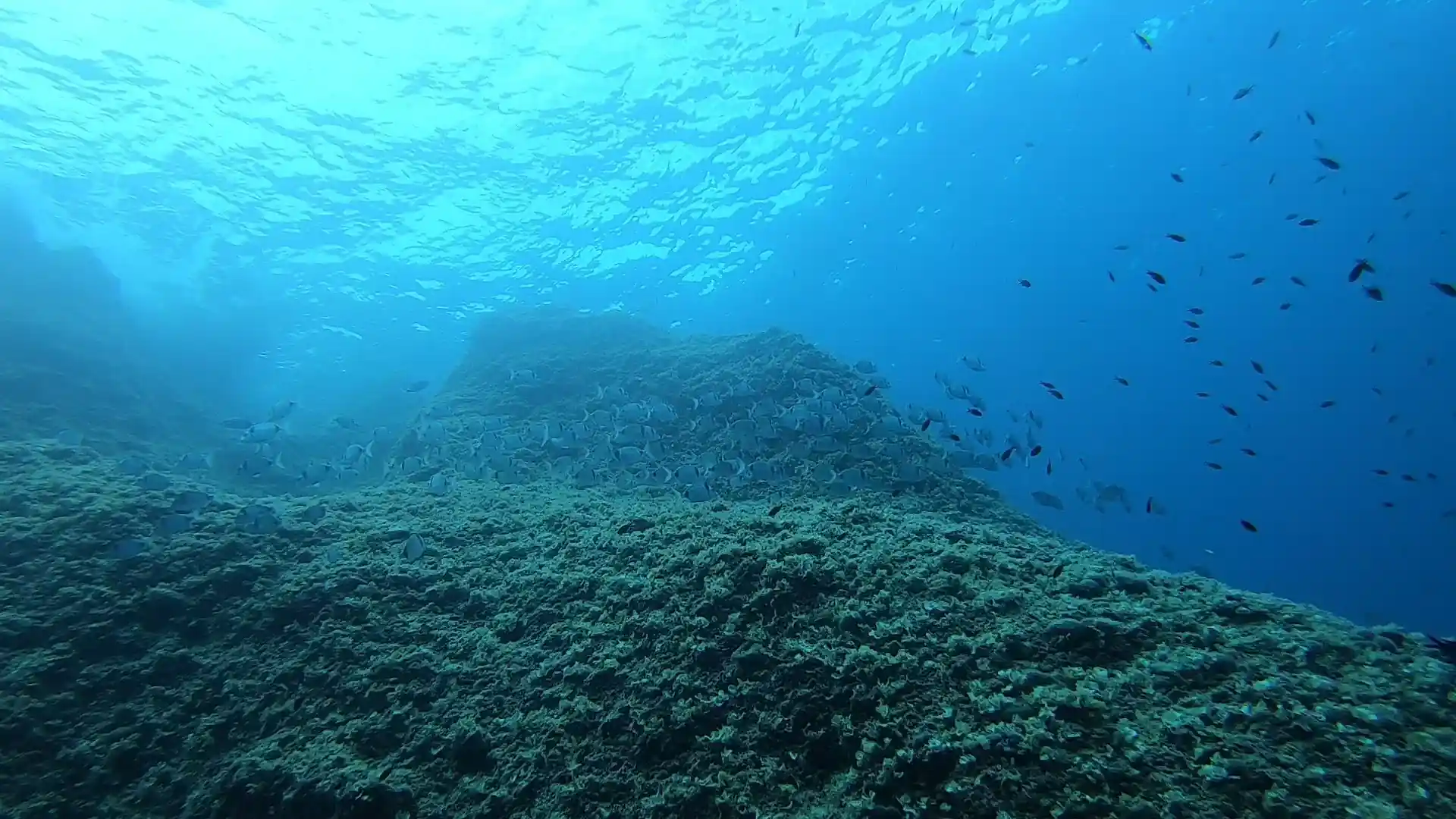 Dive site photo