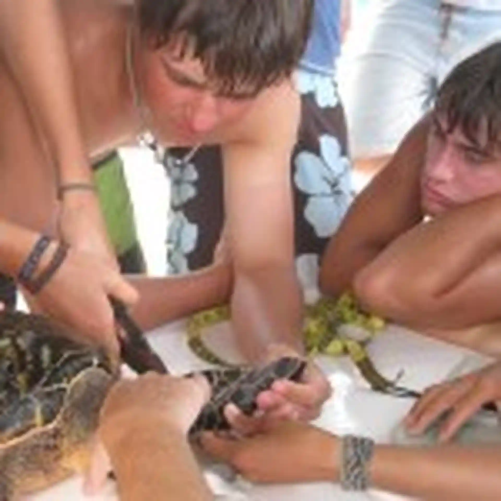 Dive shop photo