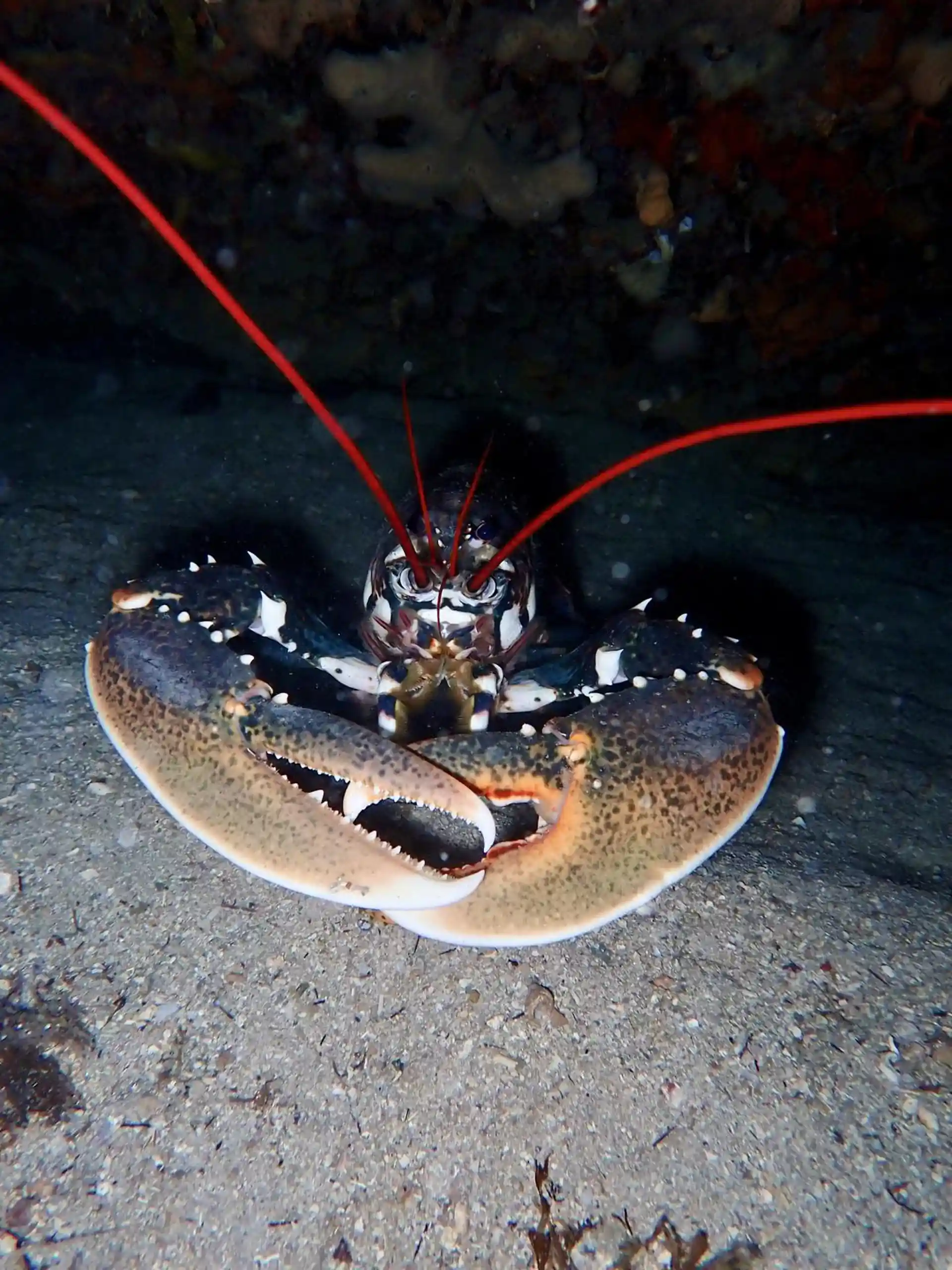 Dive site photo