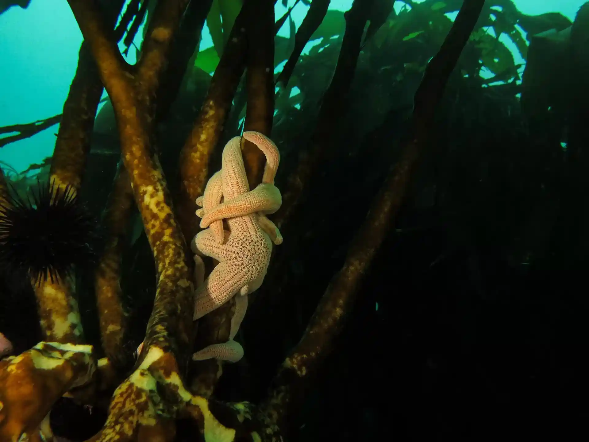 다이빙 포인트 사진