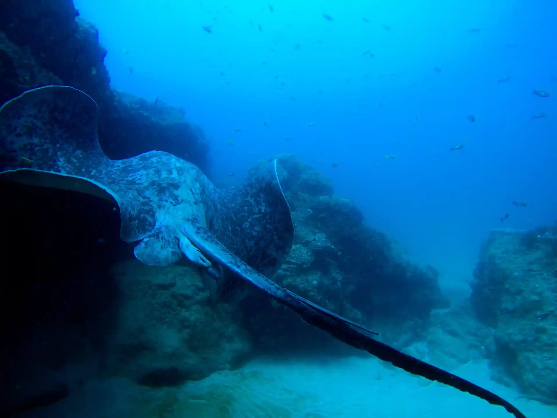 Dive shop photo