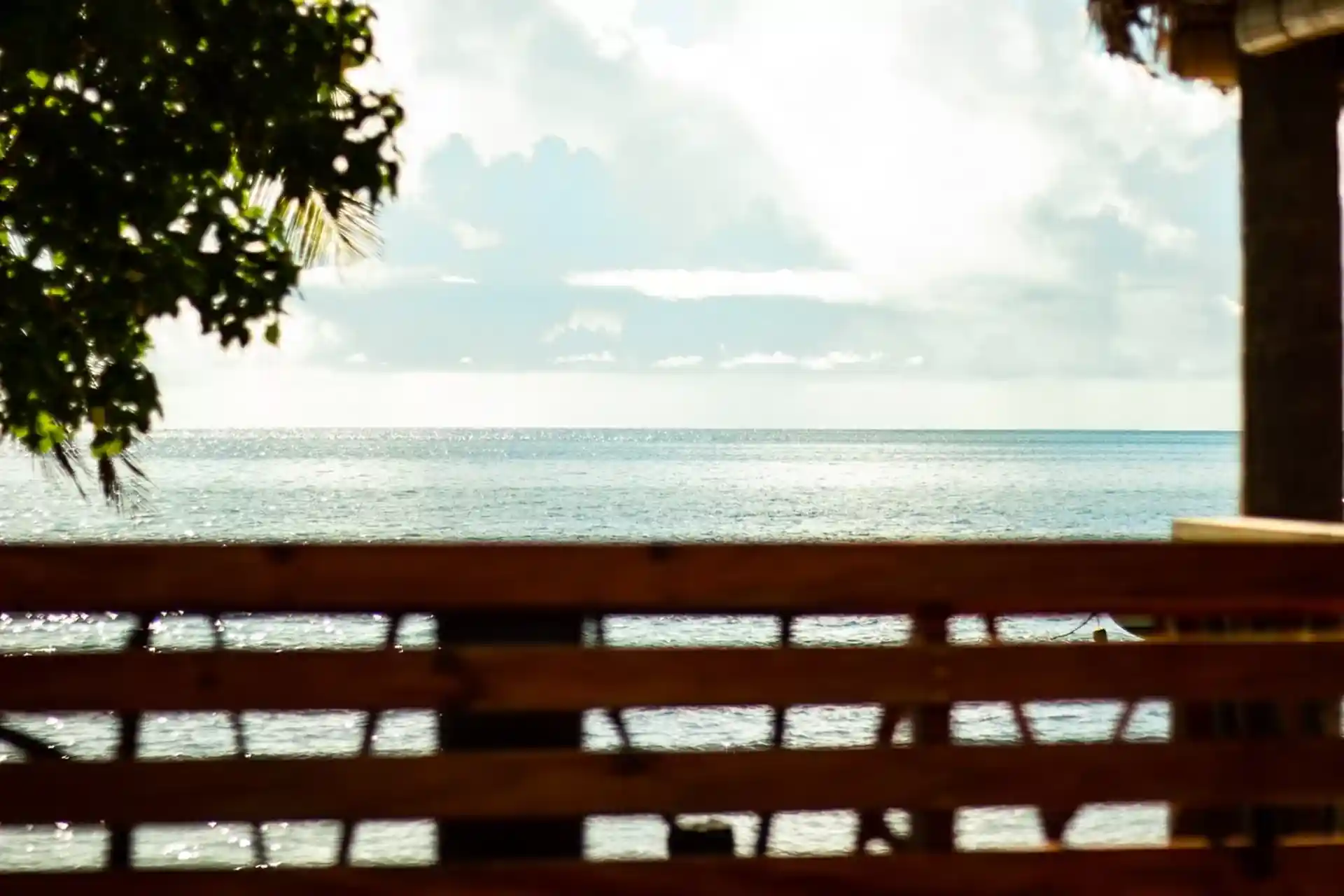 Dive shop photo
