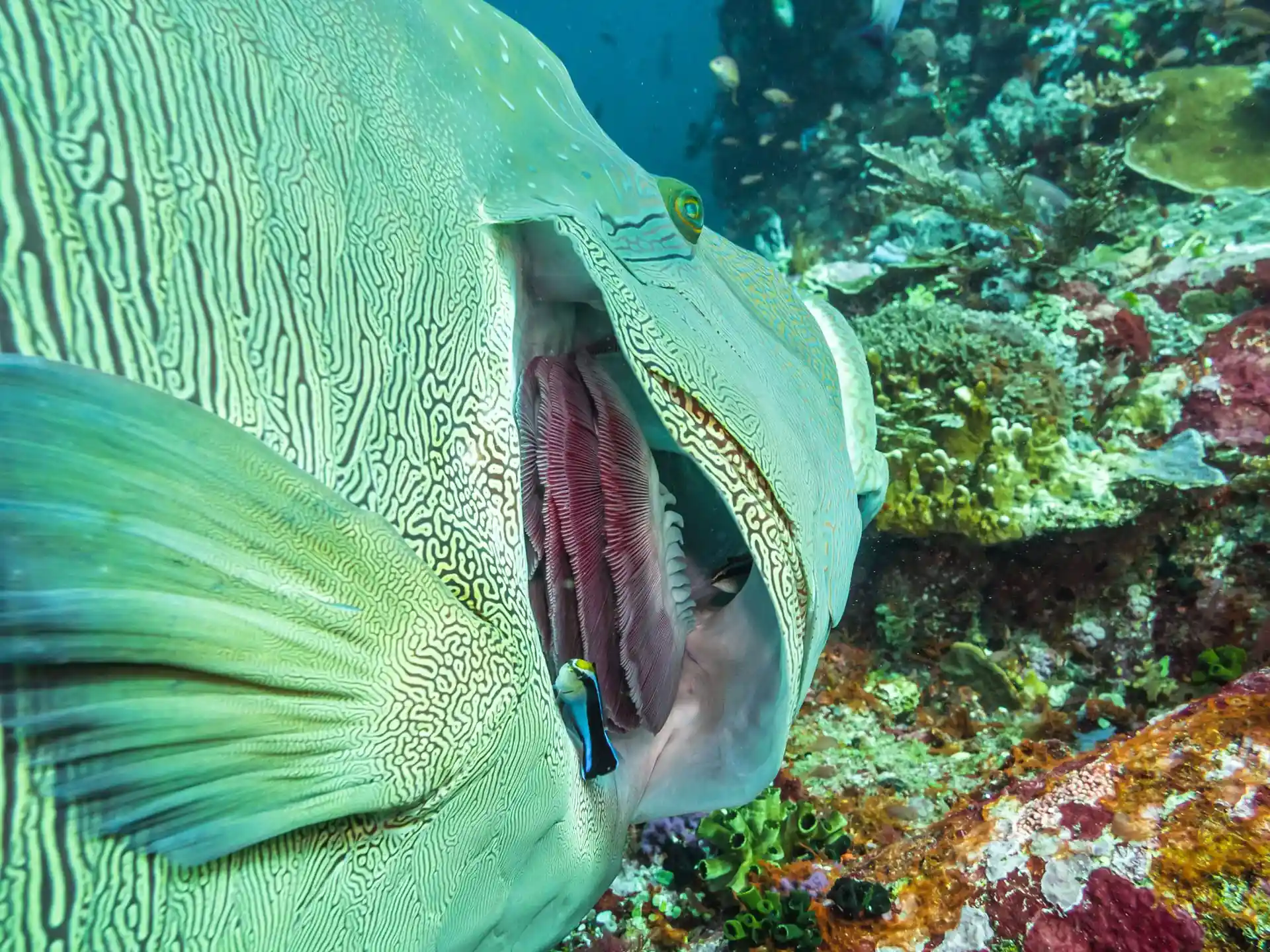 Dive site photo