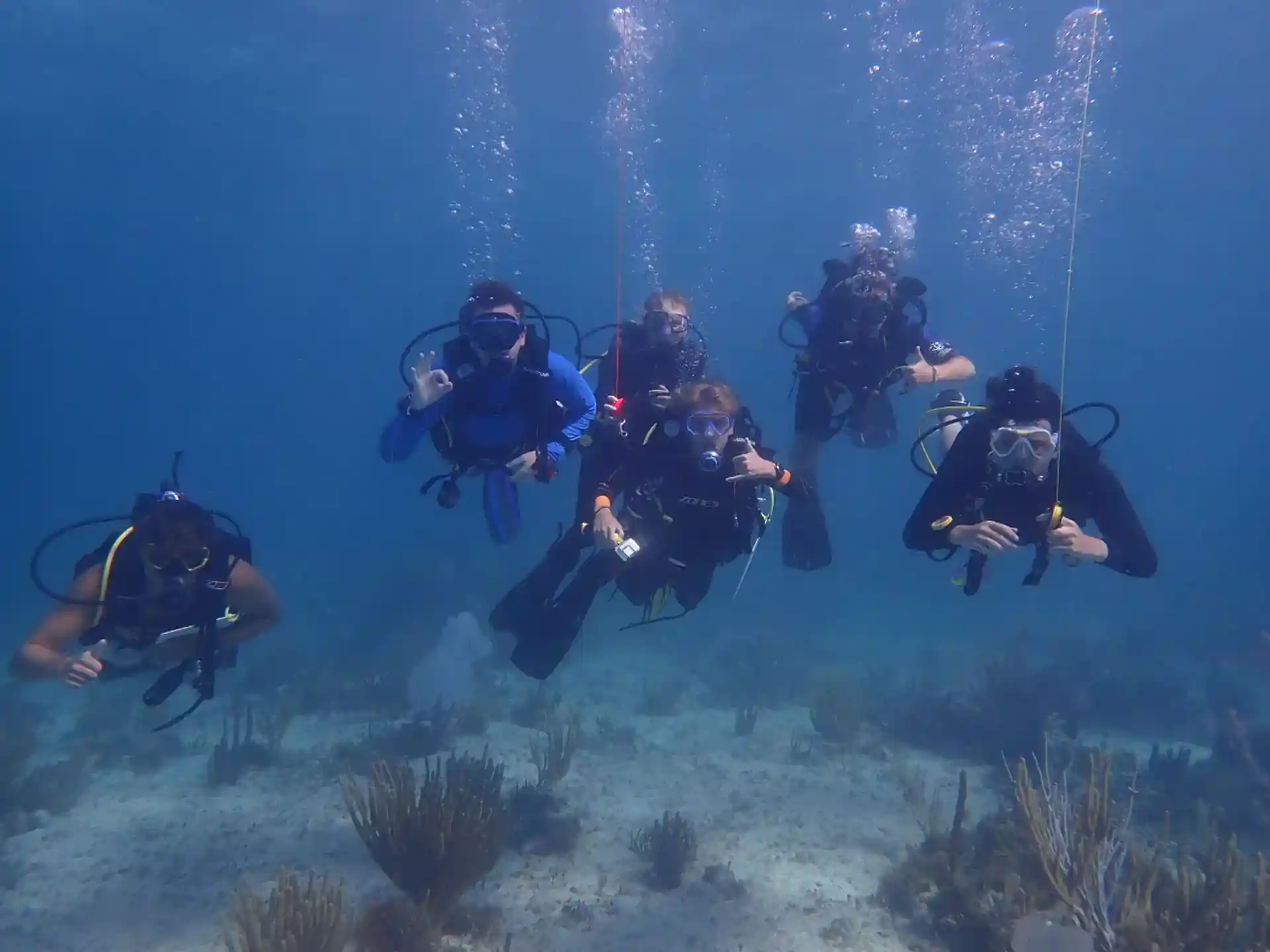 Dive shop photo