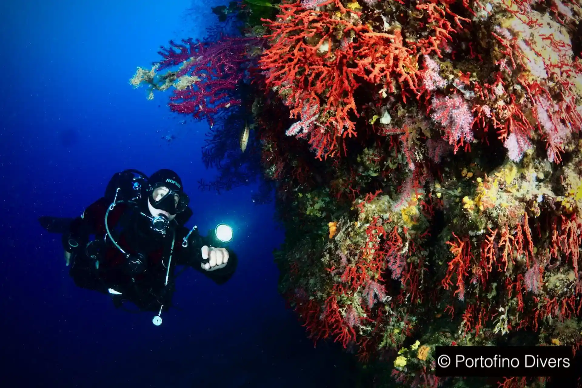 Dive site photo