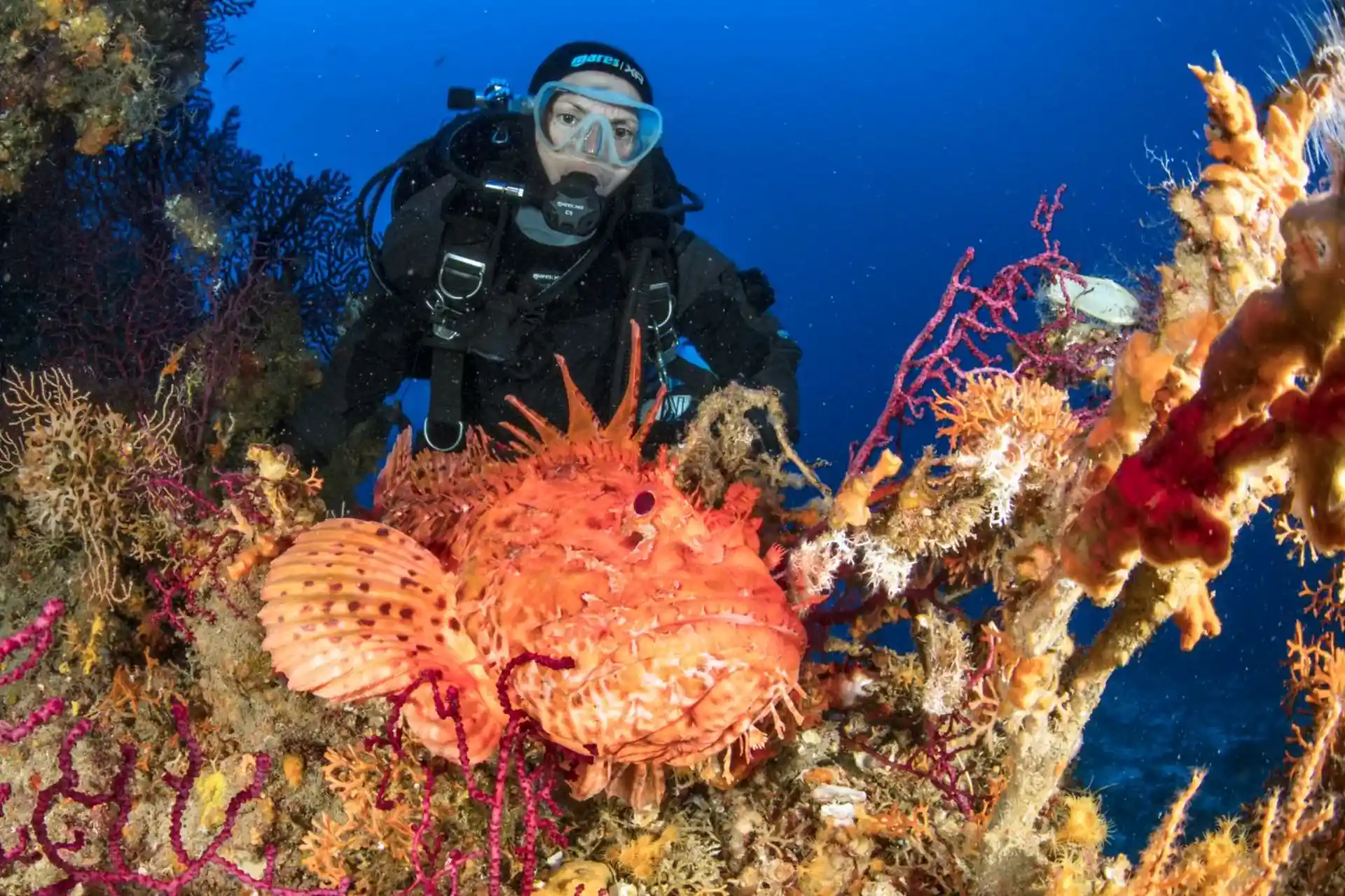 Foto de la actividad