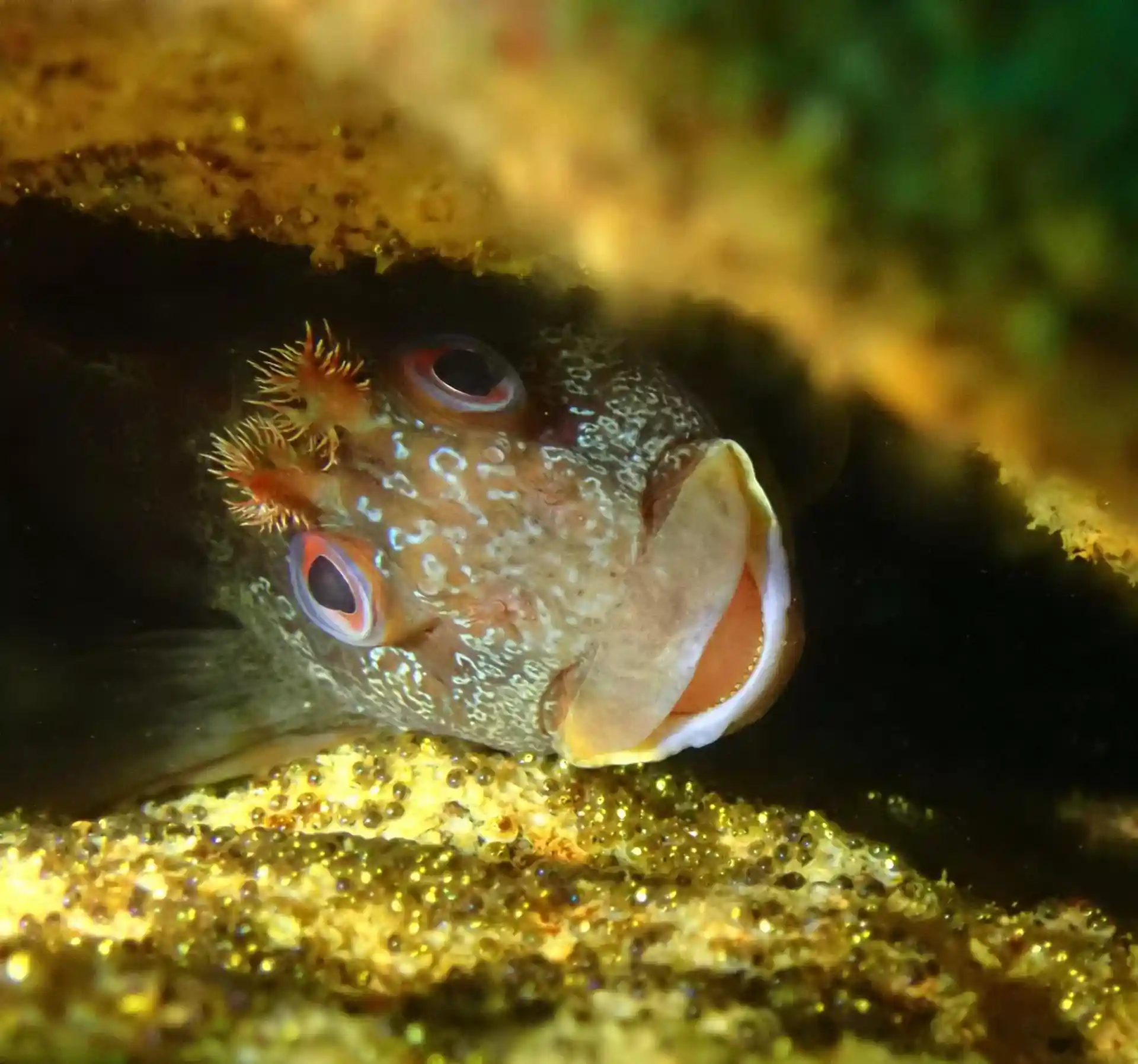 Dive site photo