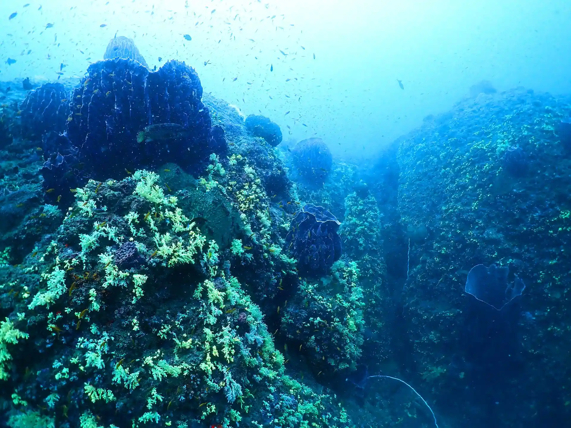 Dive site photo