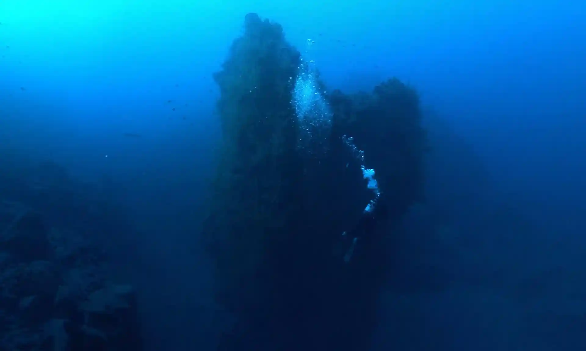 ダイビングサイトの写真