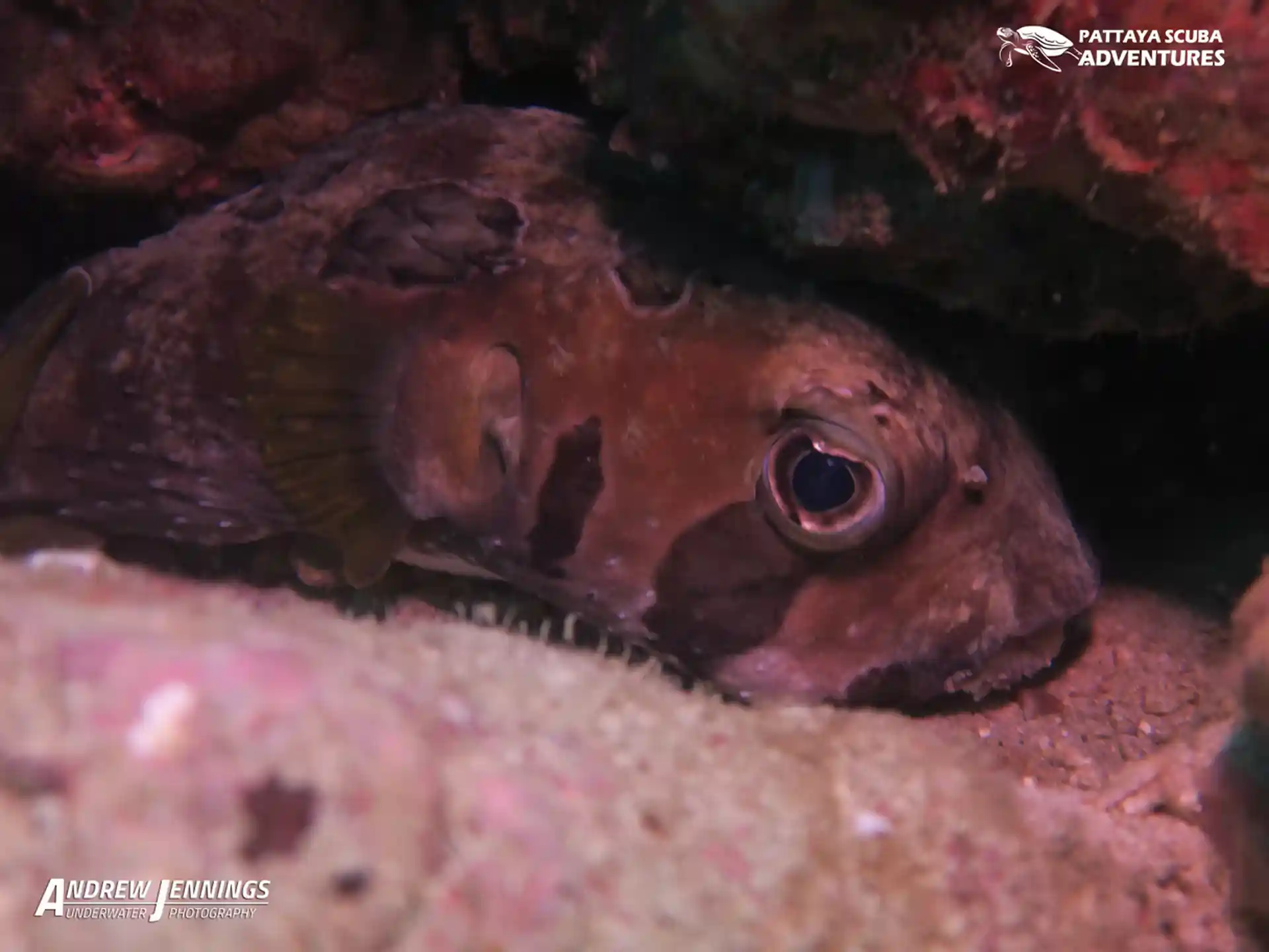 다이빙 포인트 사진