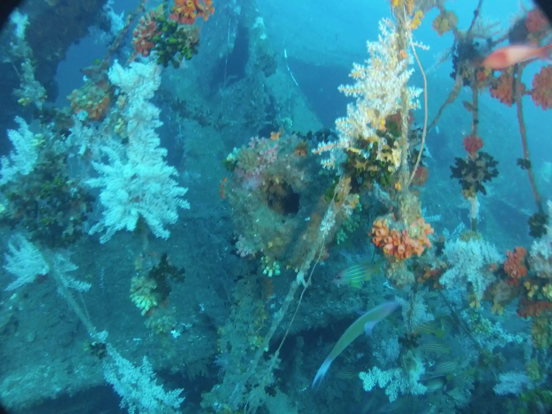 다이빙 포인트 사진