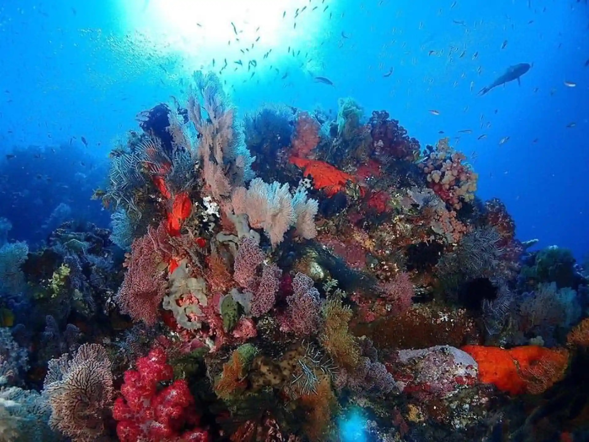 Photo de l'activité