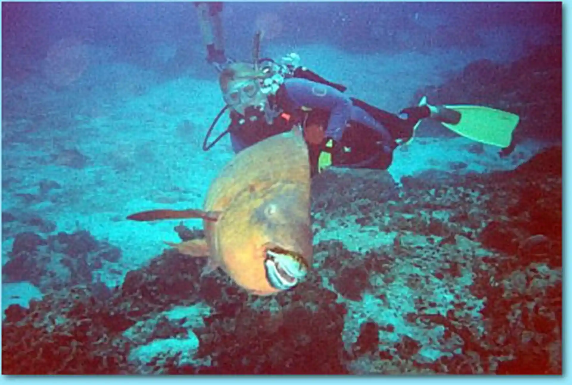 Dive shop photo