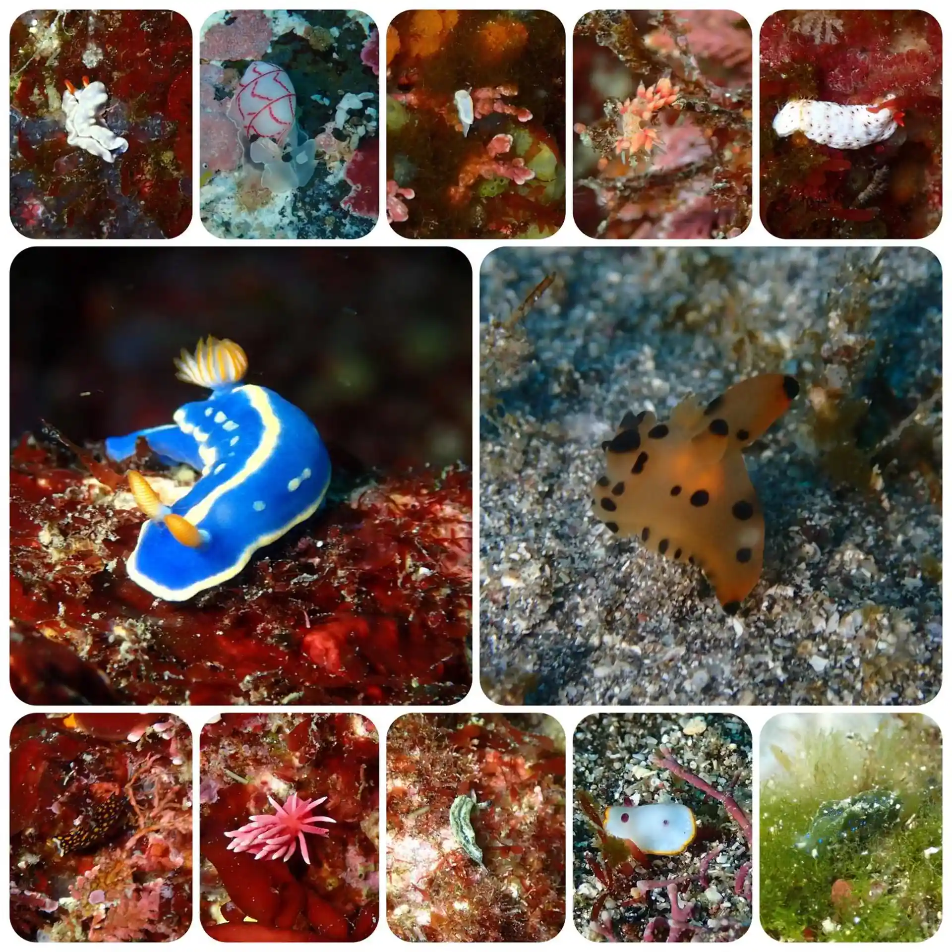 Dive shop photo