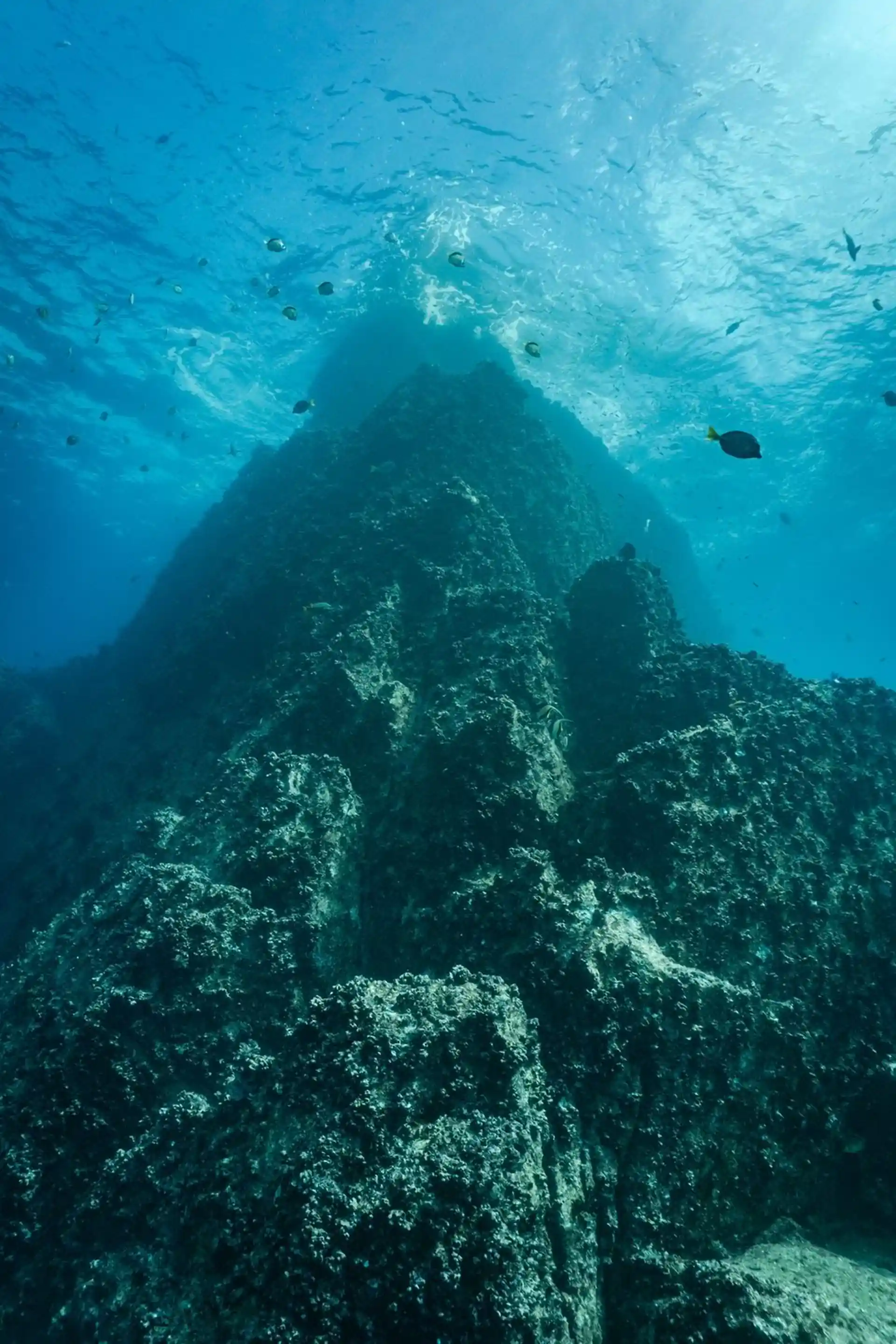 Dive site photo