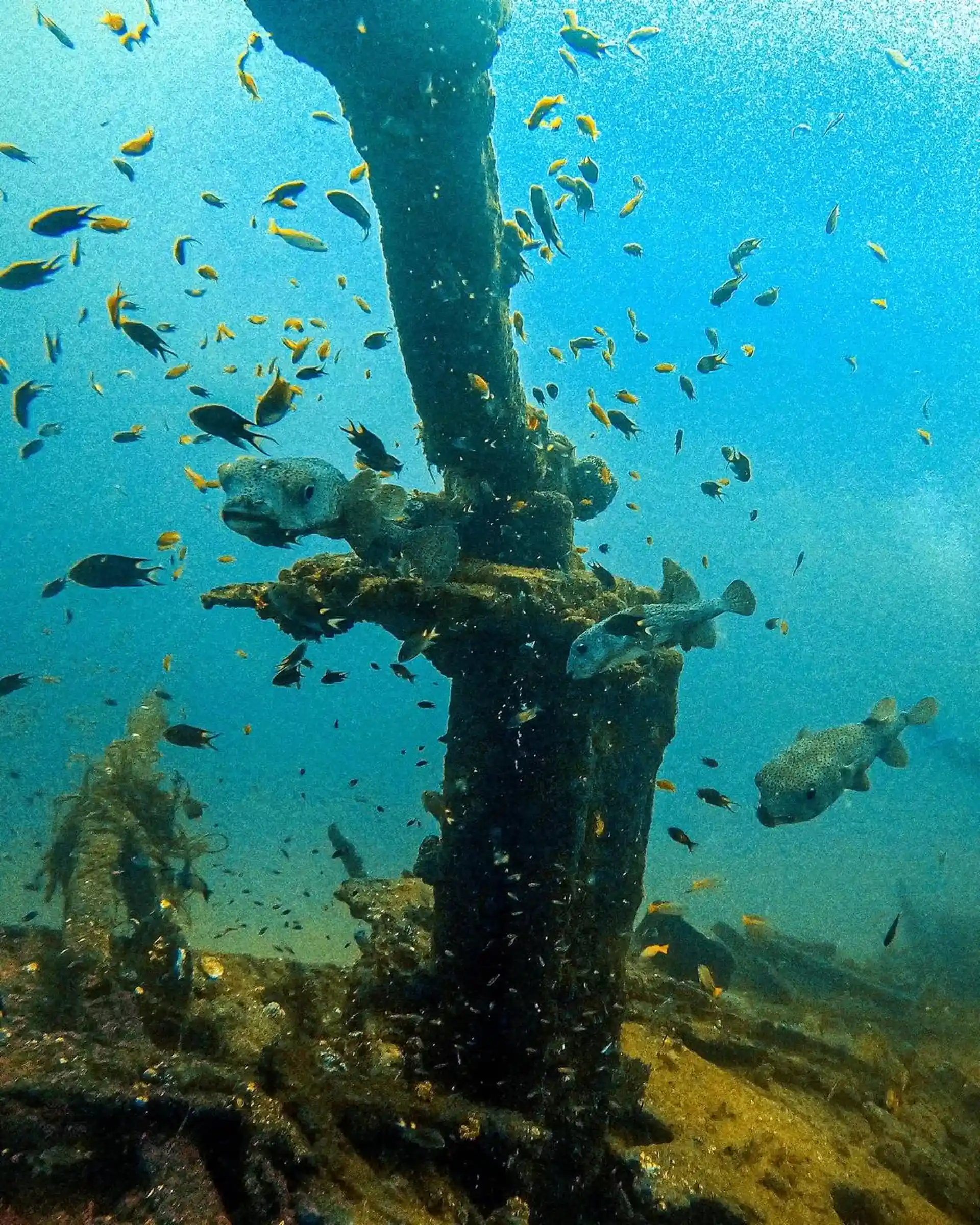 Dive site photo