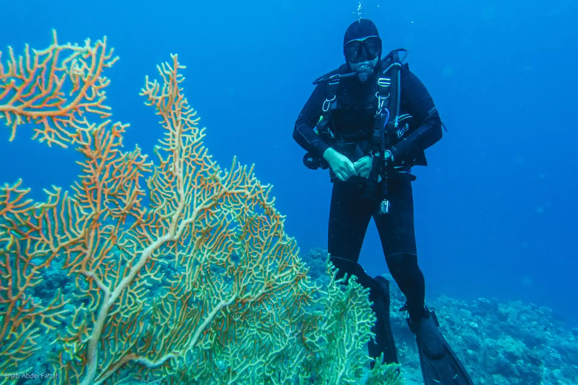 Exploring Dahab Dive Sites