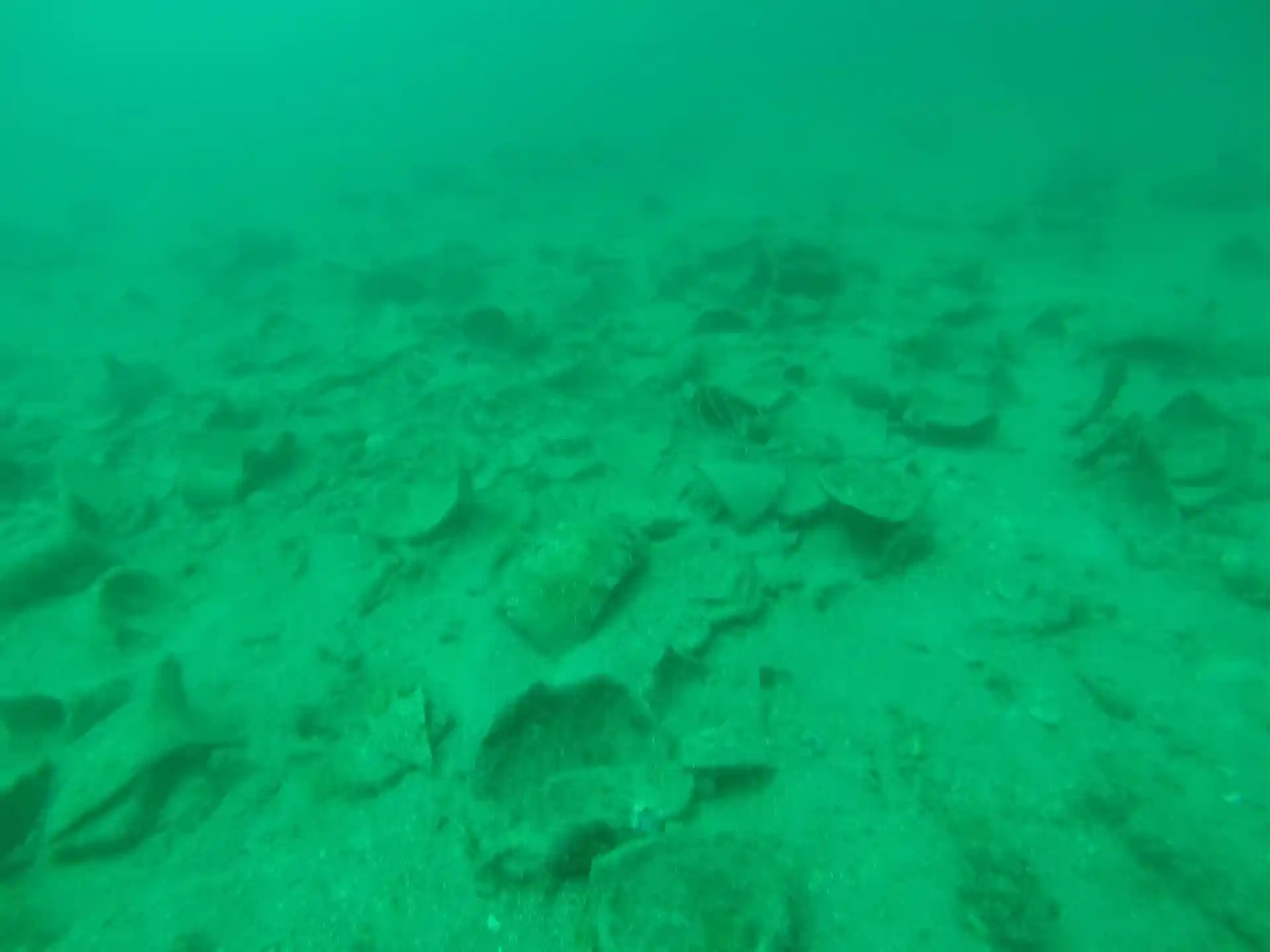 Dive site photo