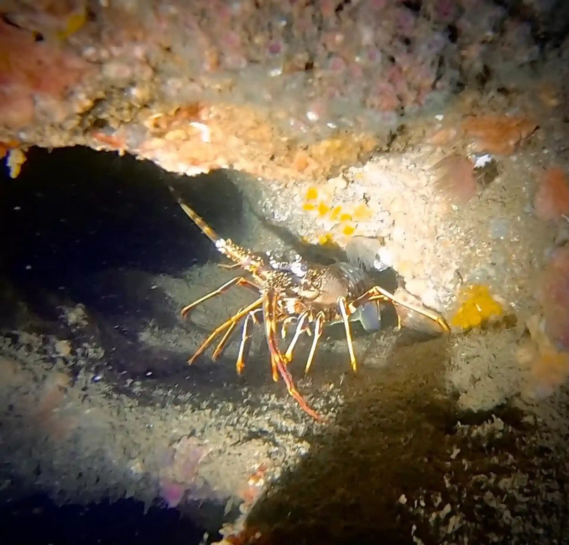 Foto des Tauchplatzes