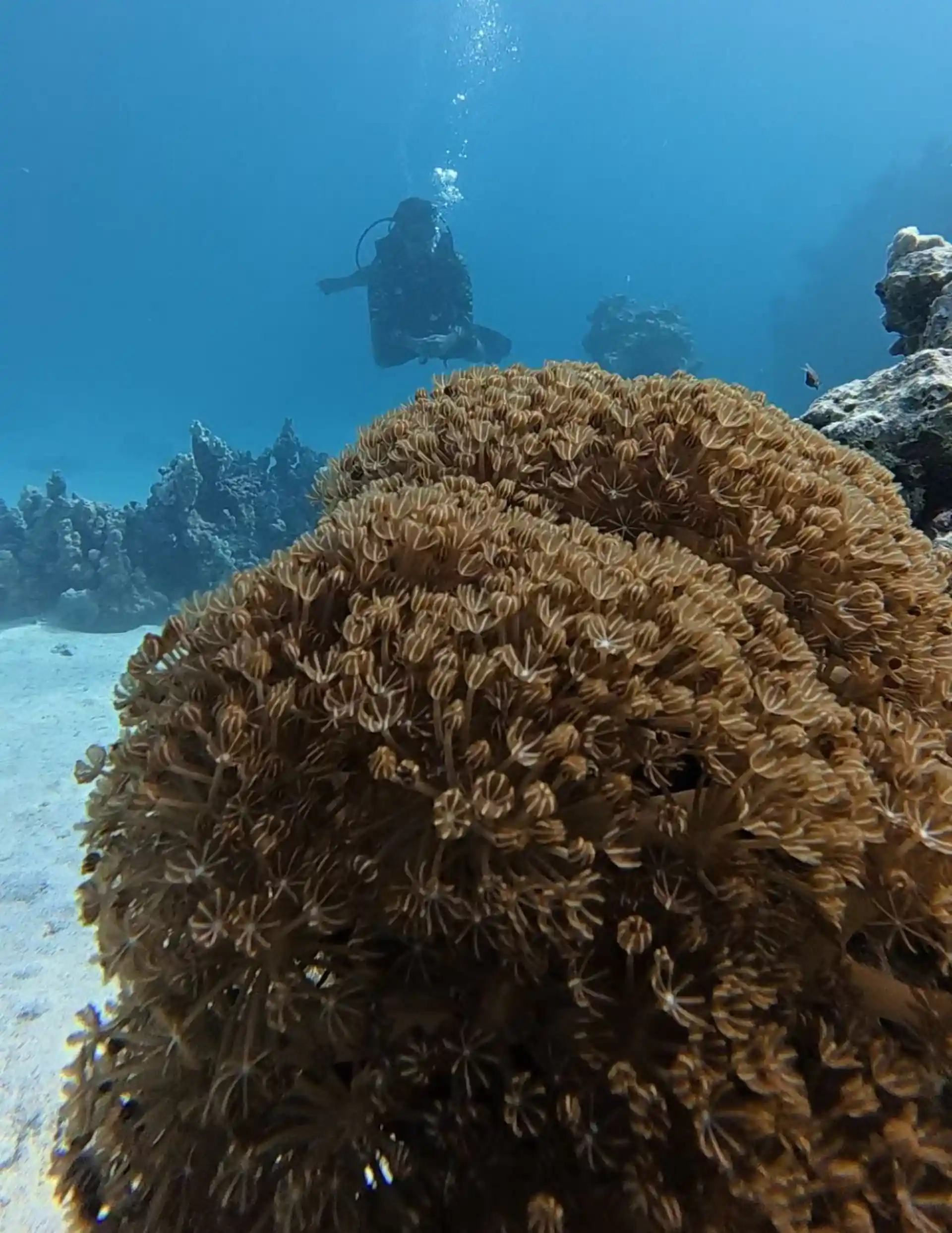 Dive shop photo