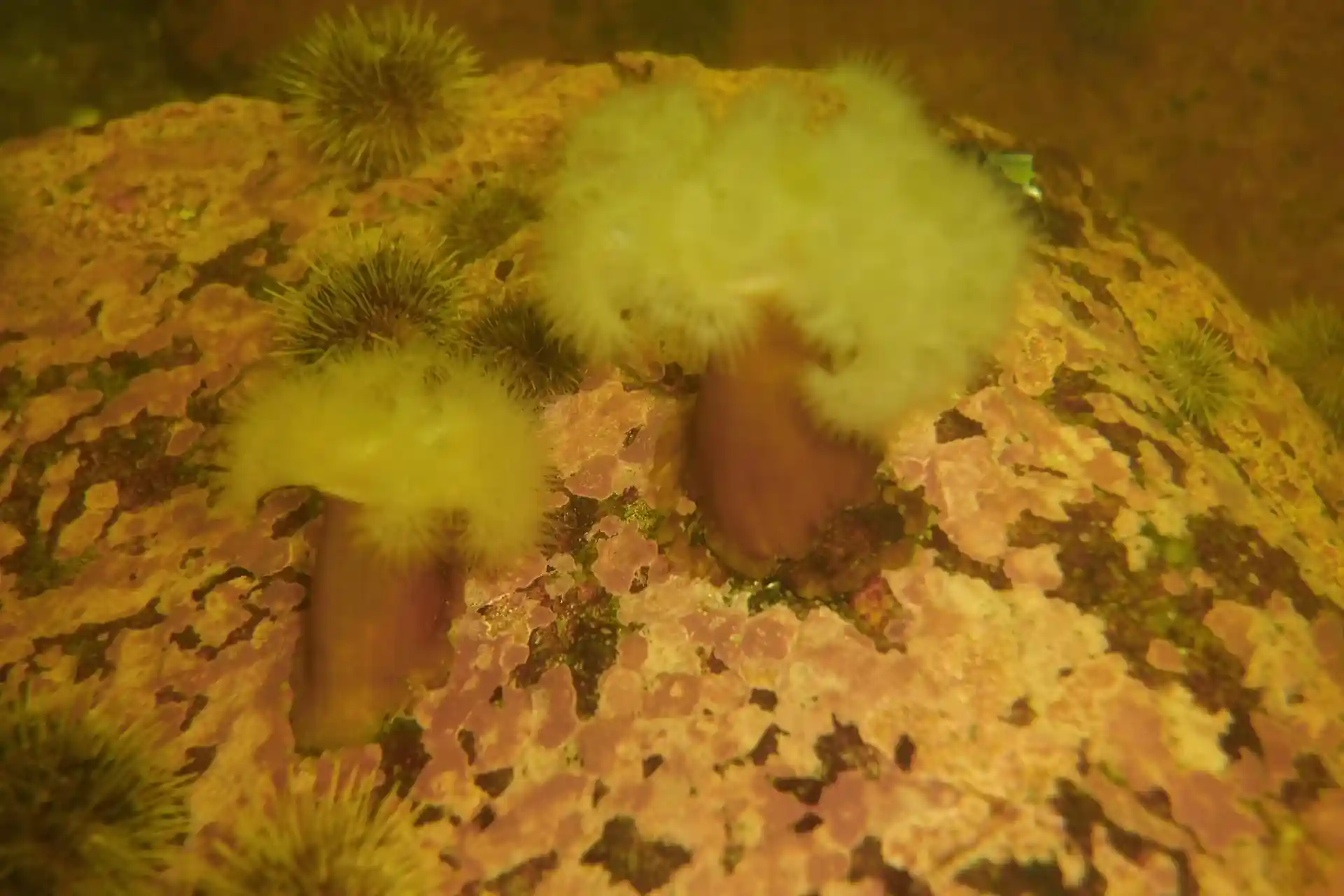 Dive site photo