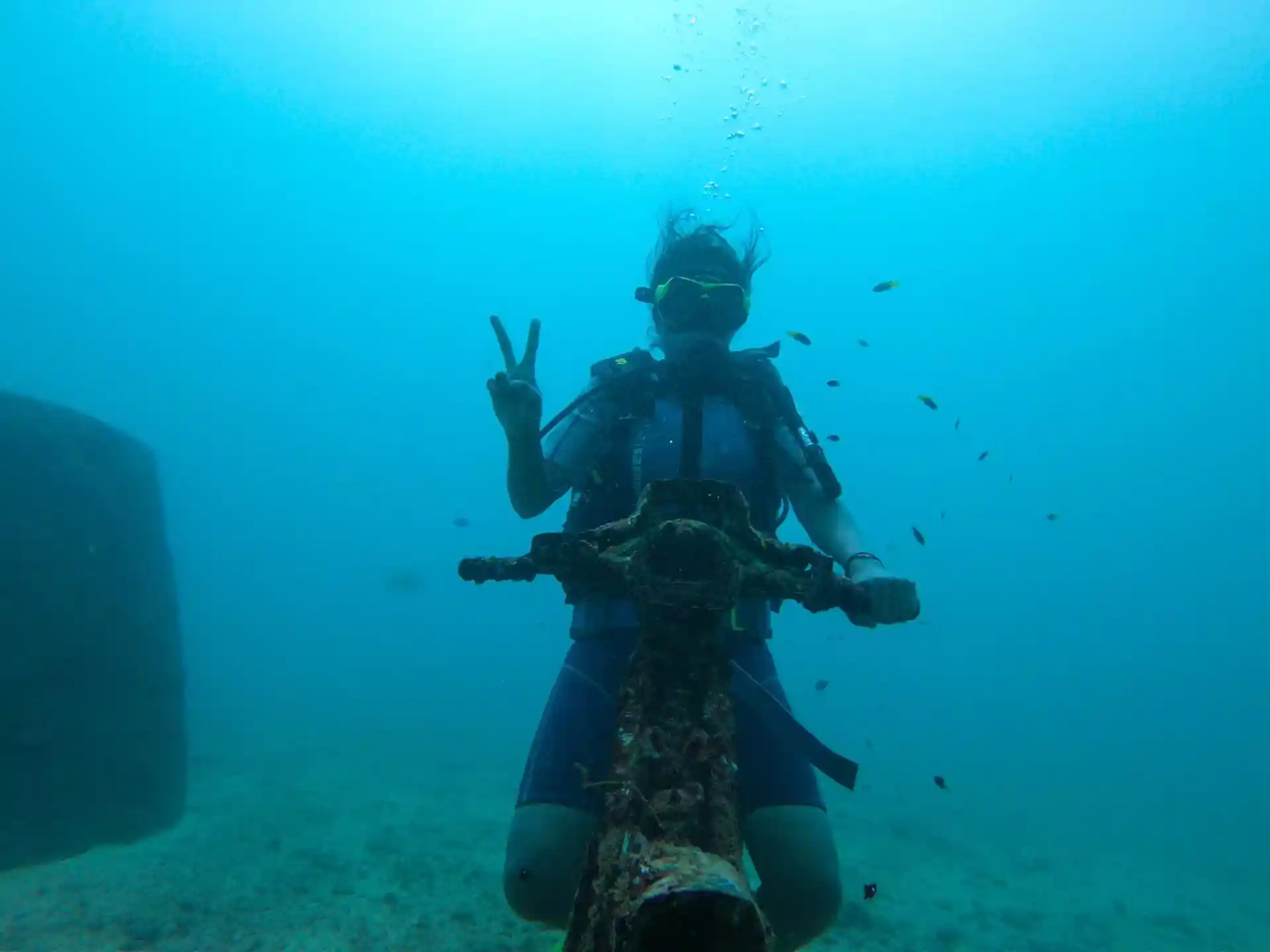 ダイビングサイトの写真