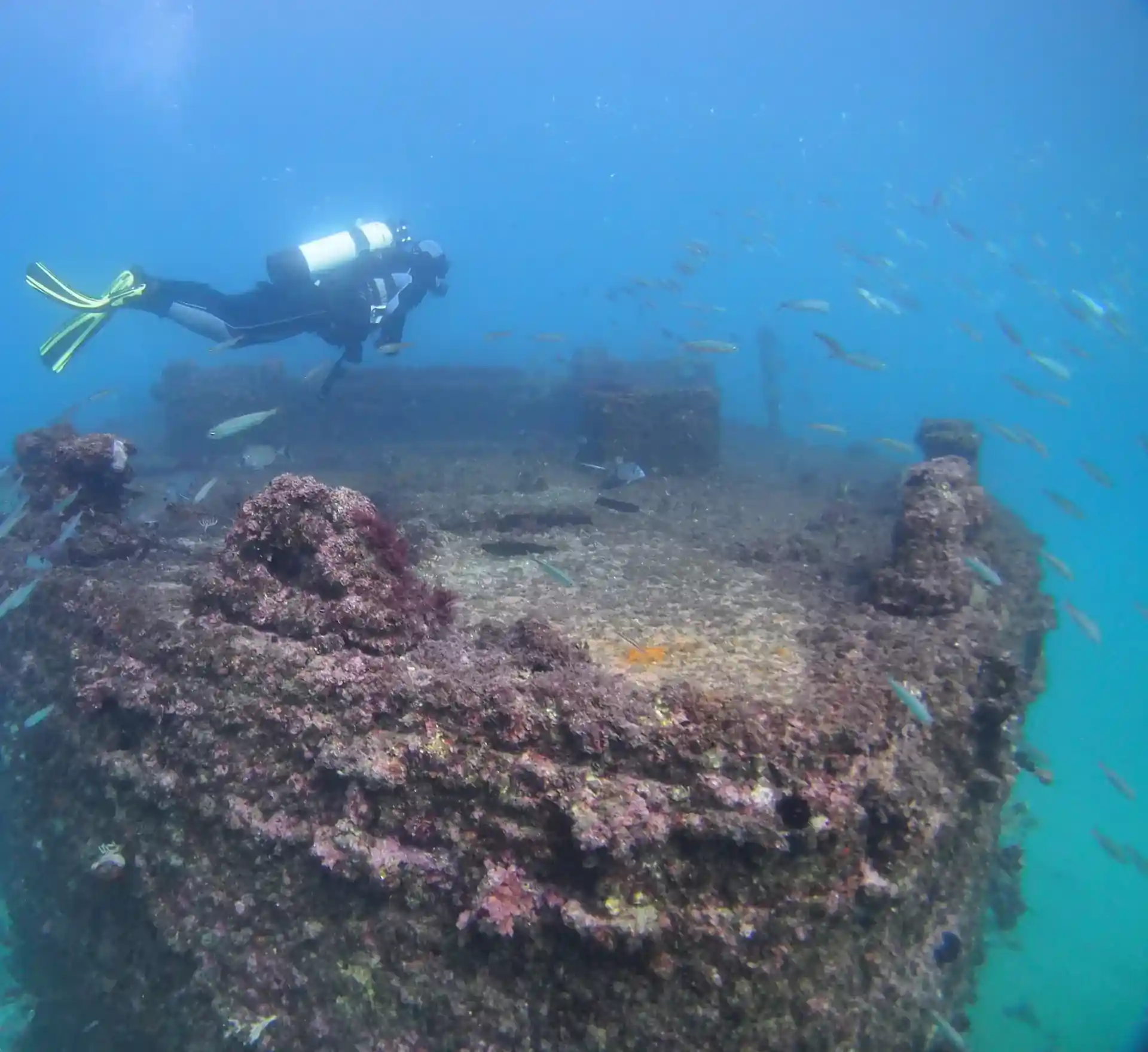 Dive site photo