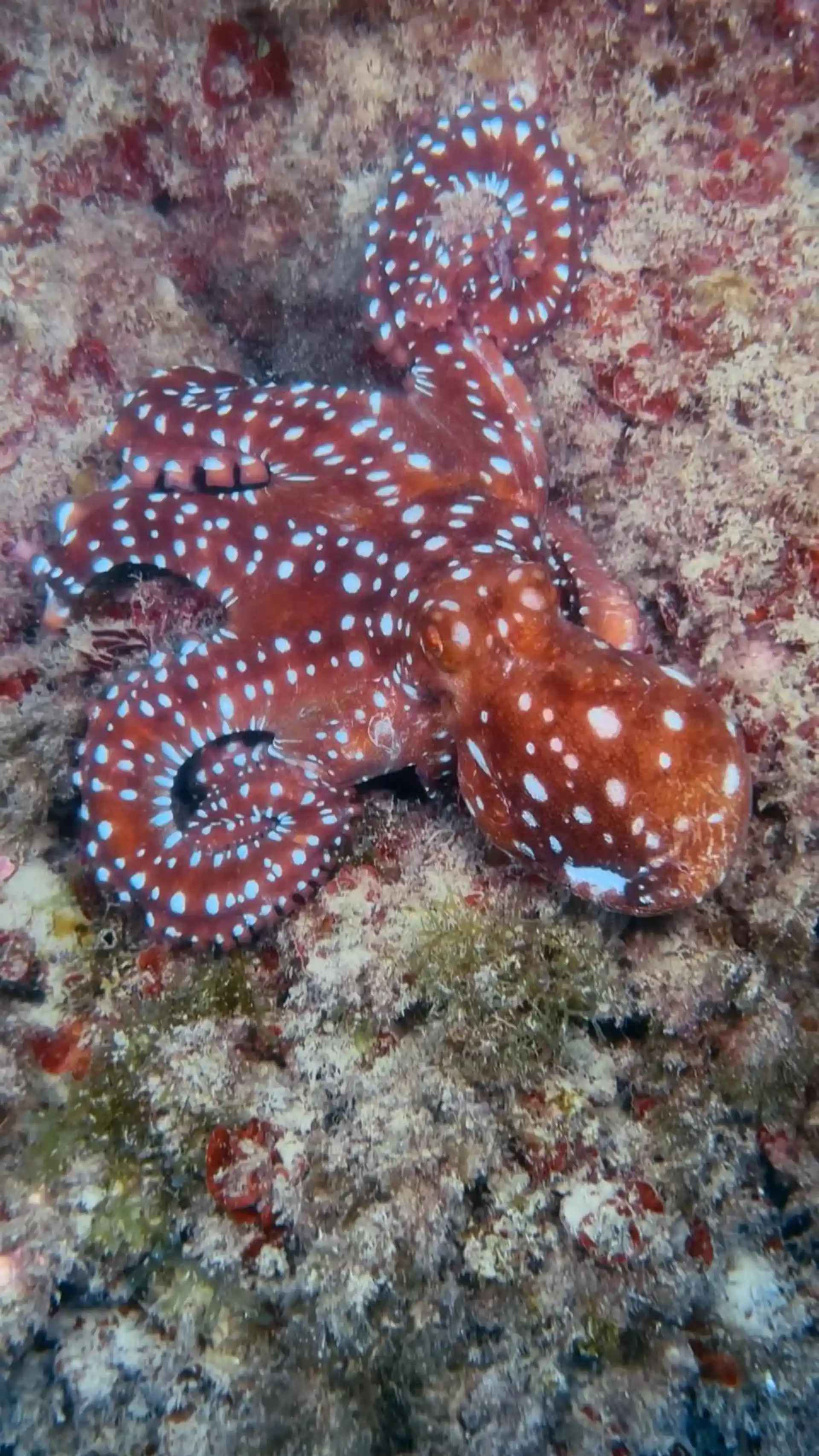 Dive site photo