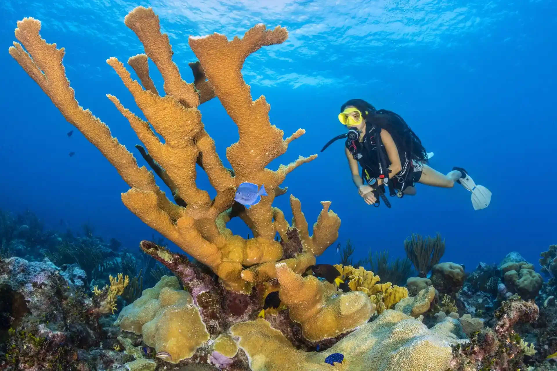 Dive site photo