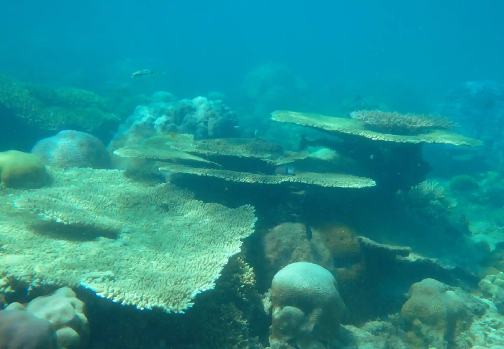 ダイビングサイトの写真