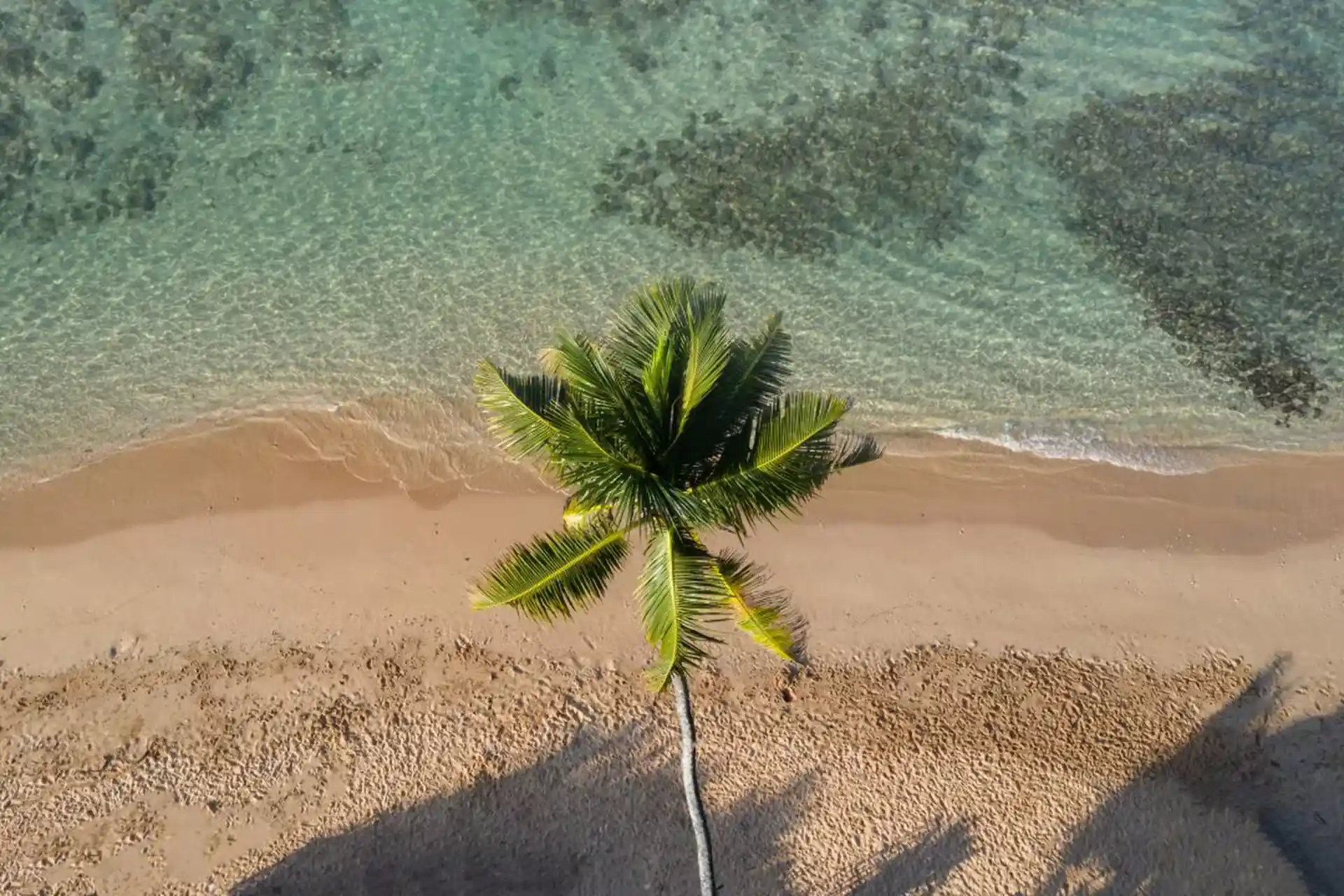 Photo du site de plongée