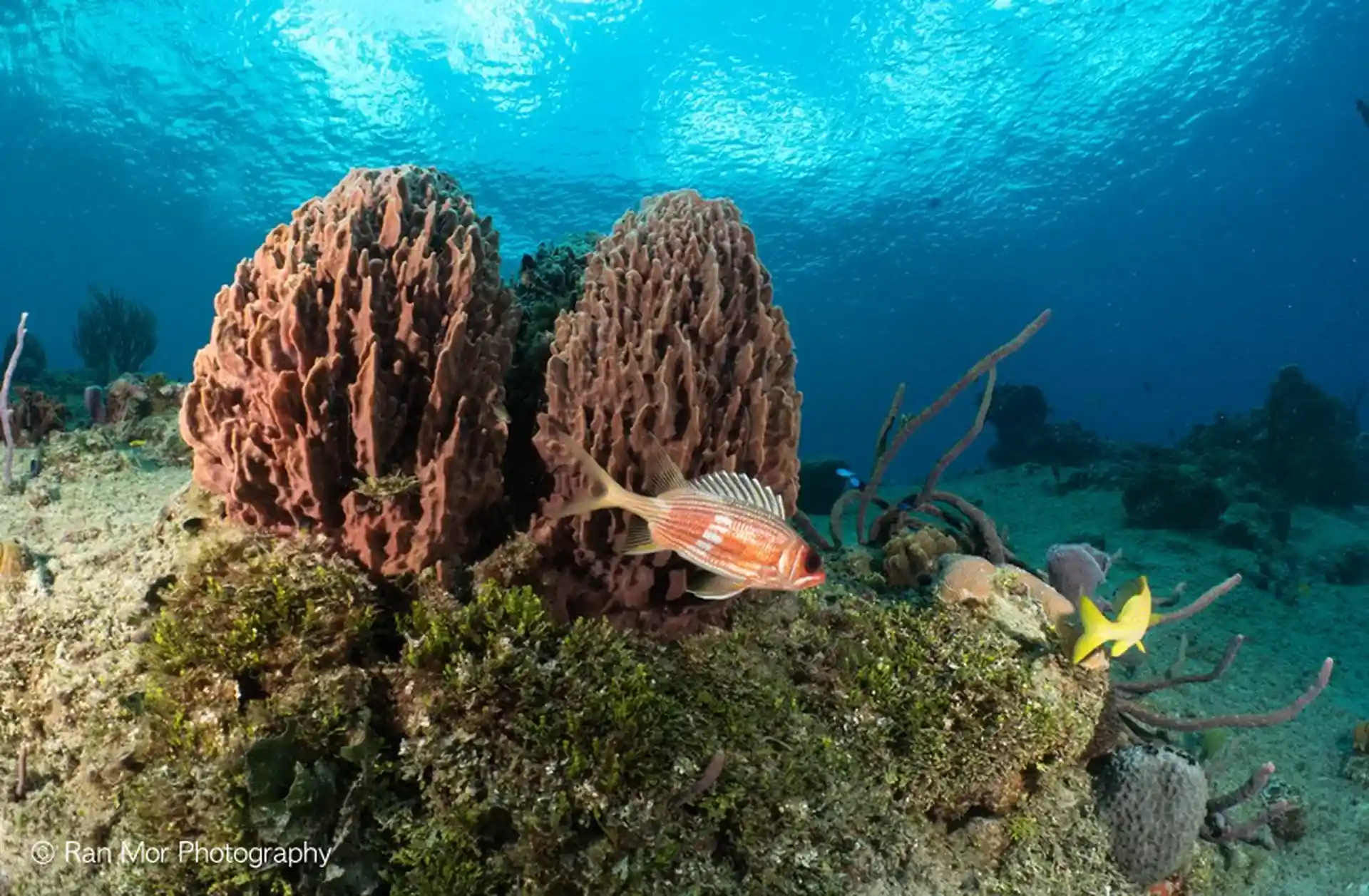 Dive site photo