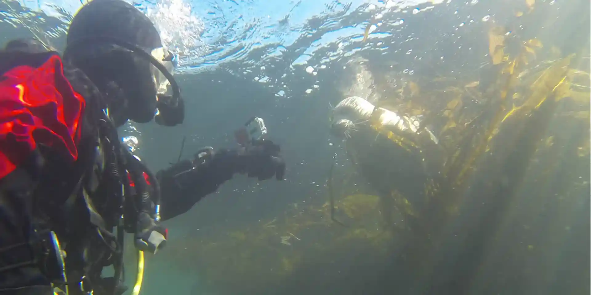 Dive site photo