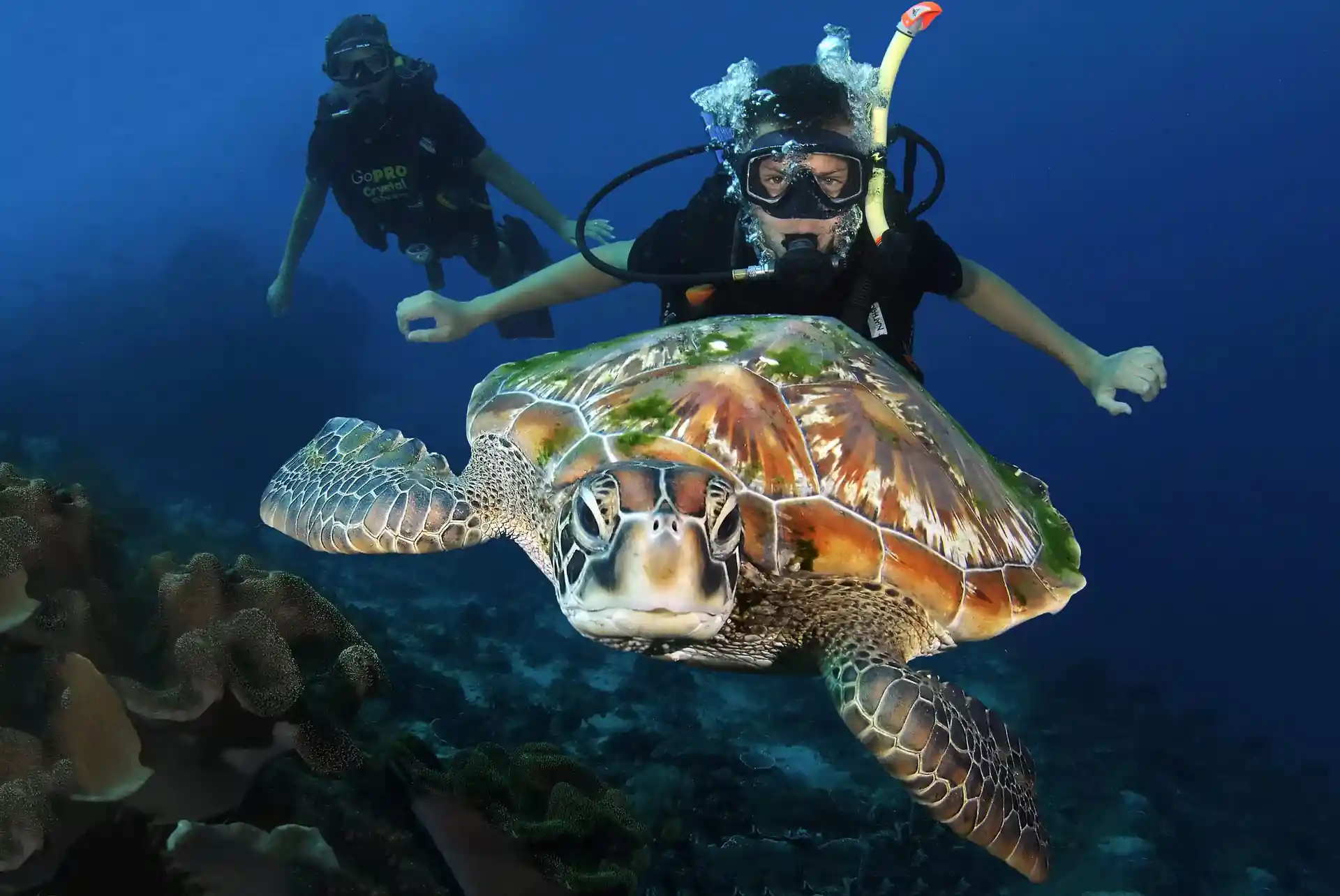 Foto van de duiklocatie