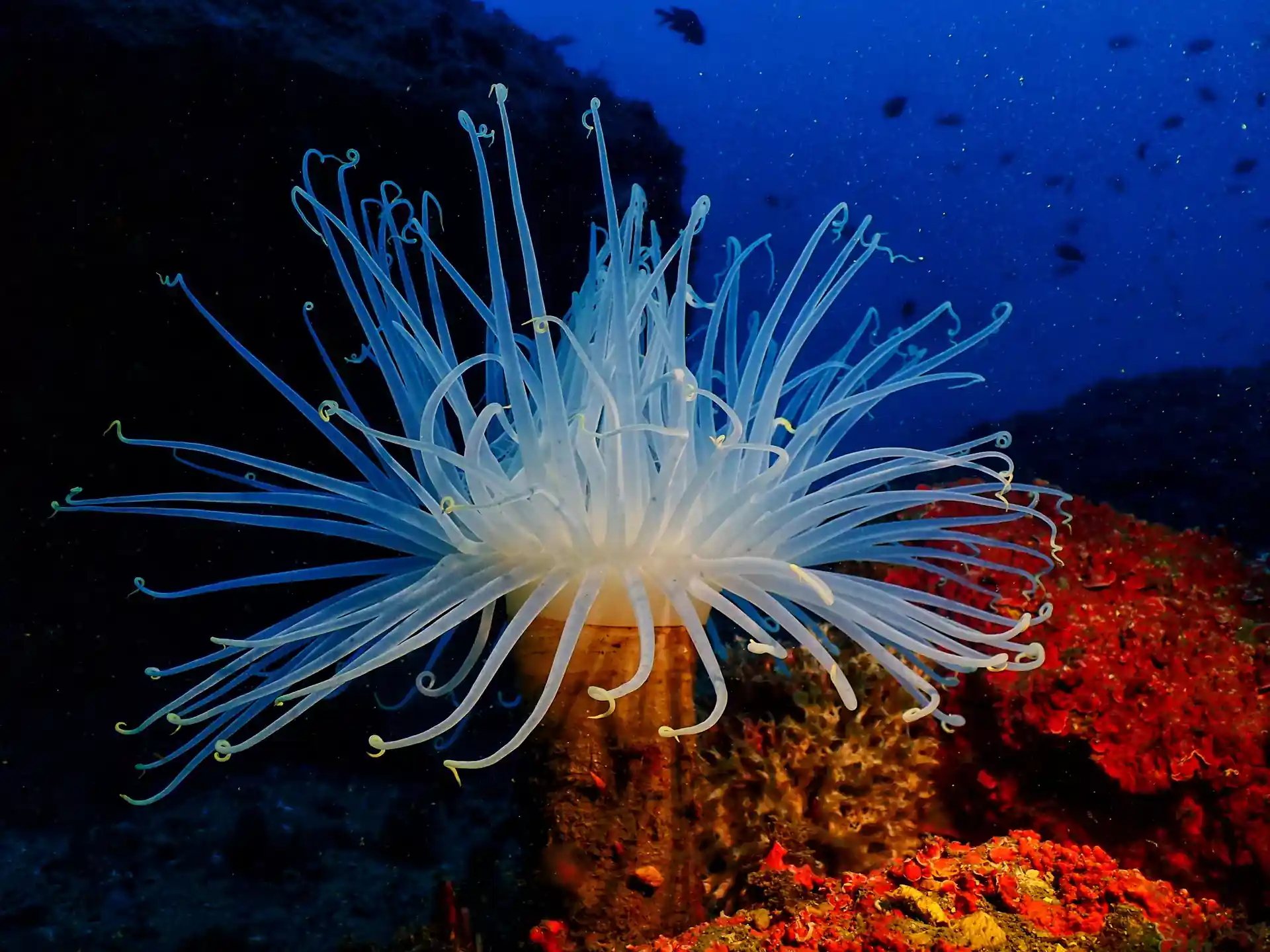 Foto van de duiklocatie