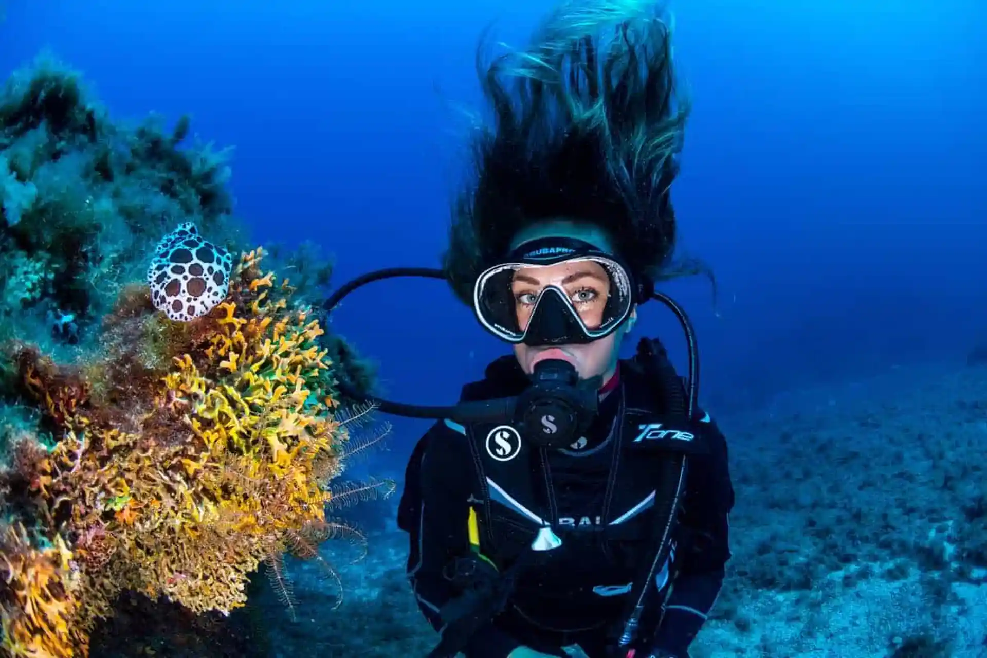 Discovering the bottom at El Toro Marine Reserve