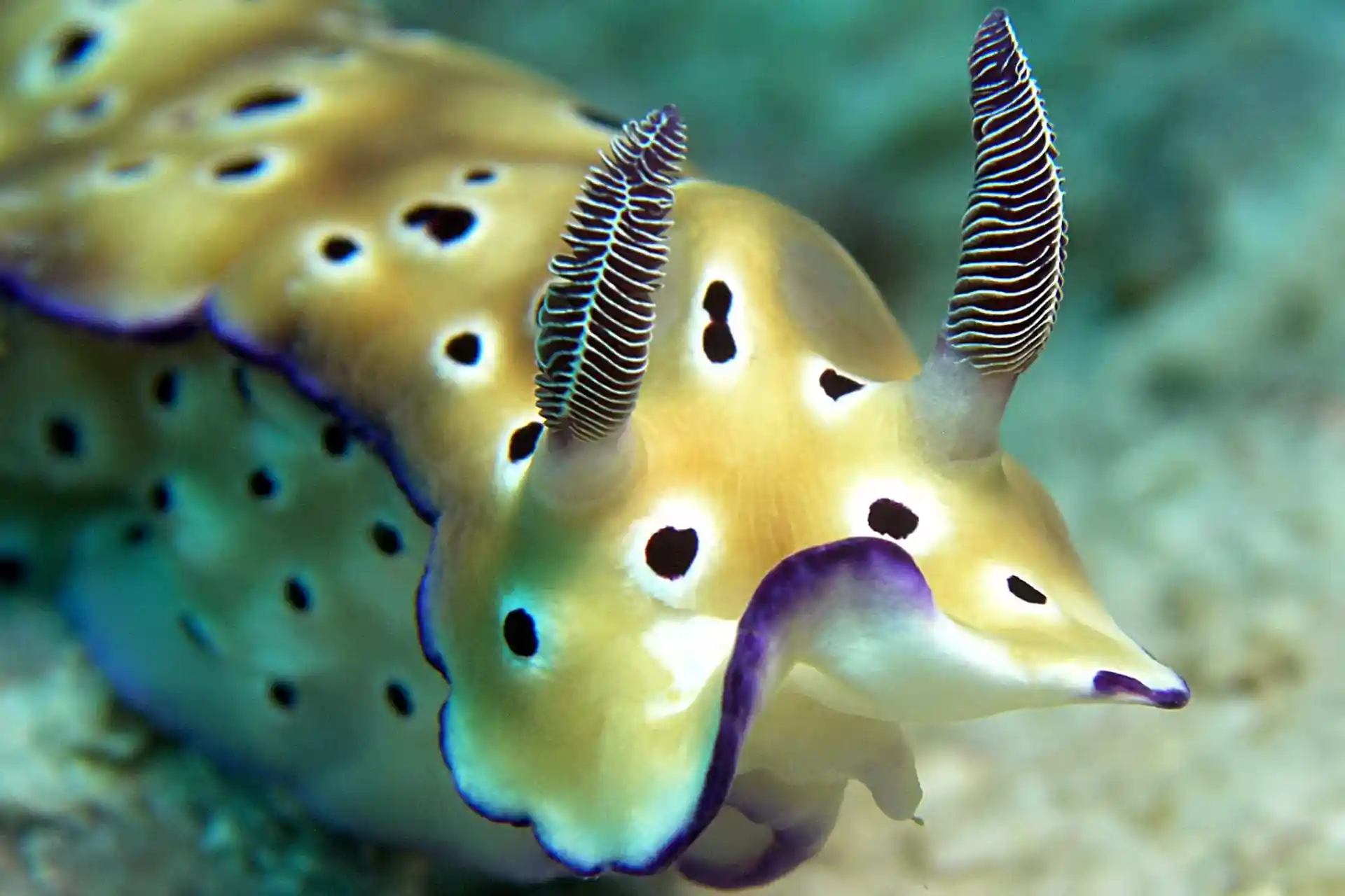 Dive site photo