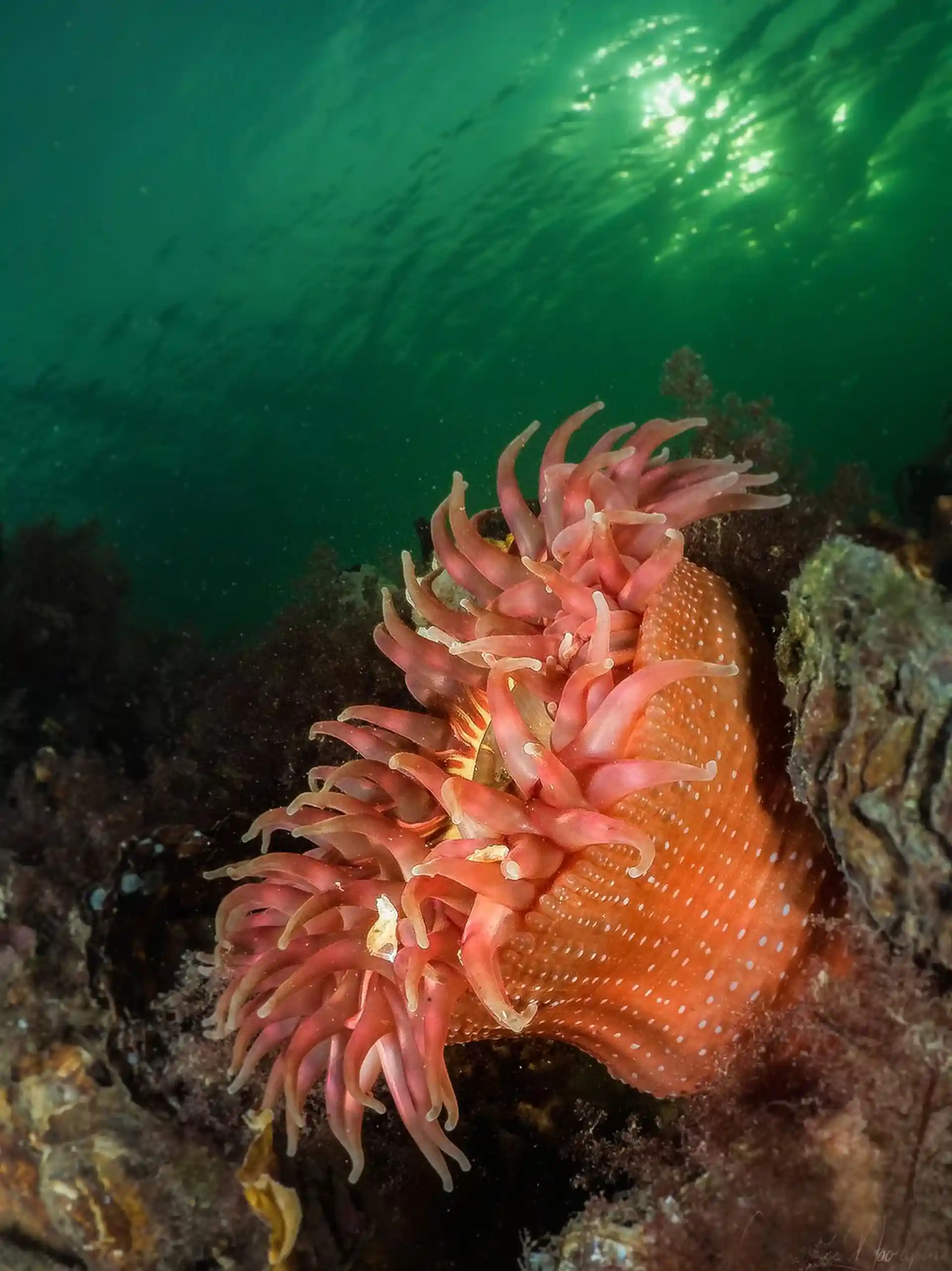 다이빙 포인트 사진