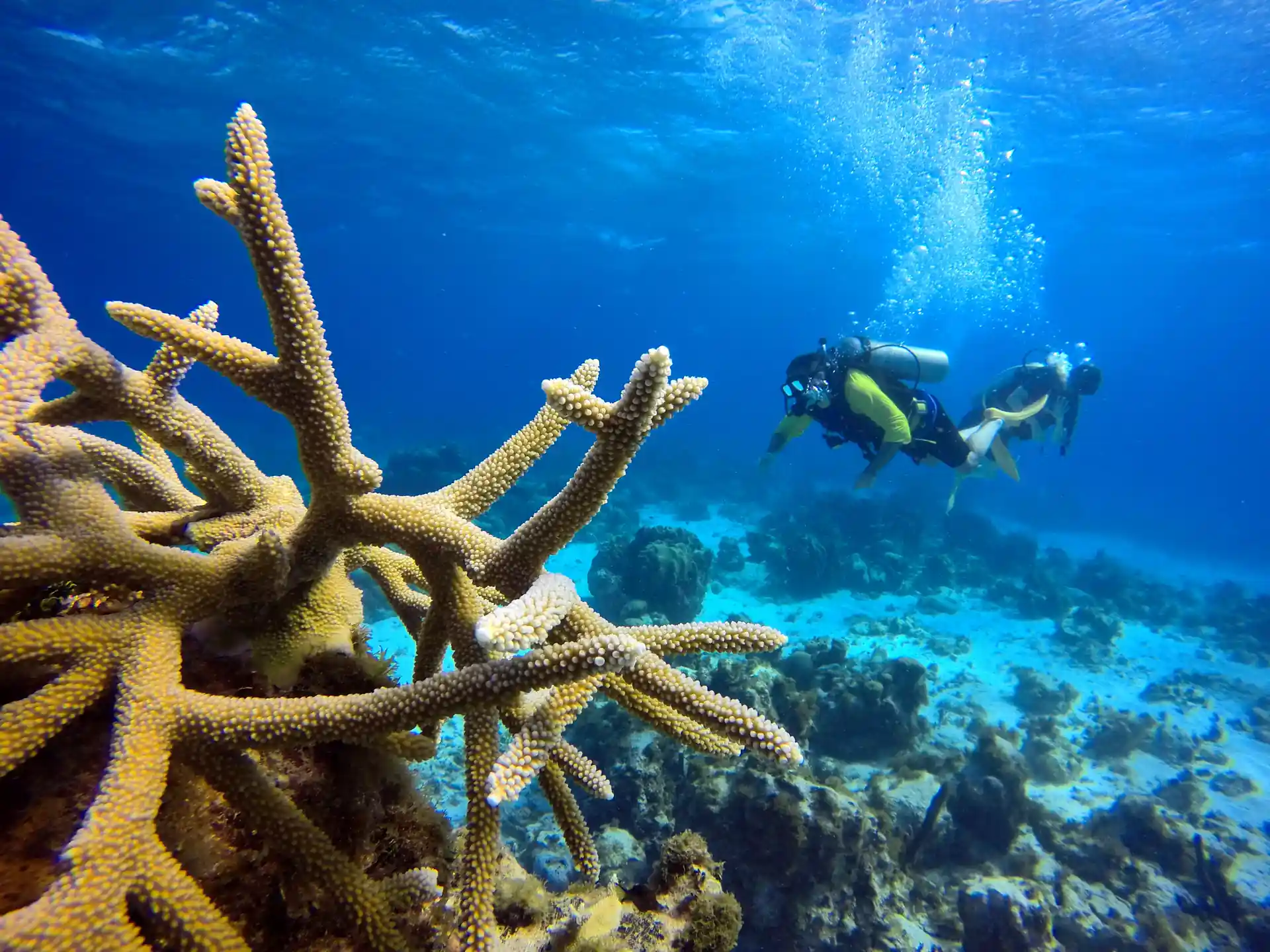 Dive shop photo