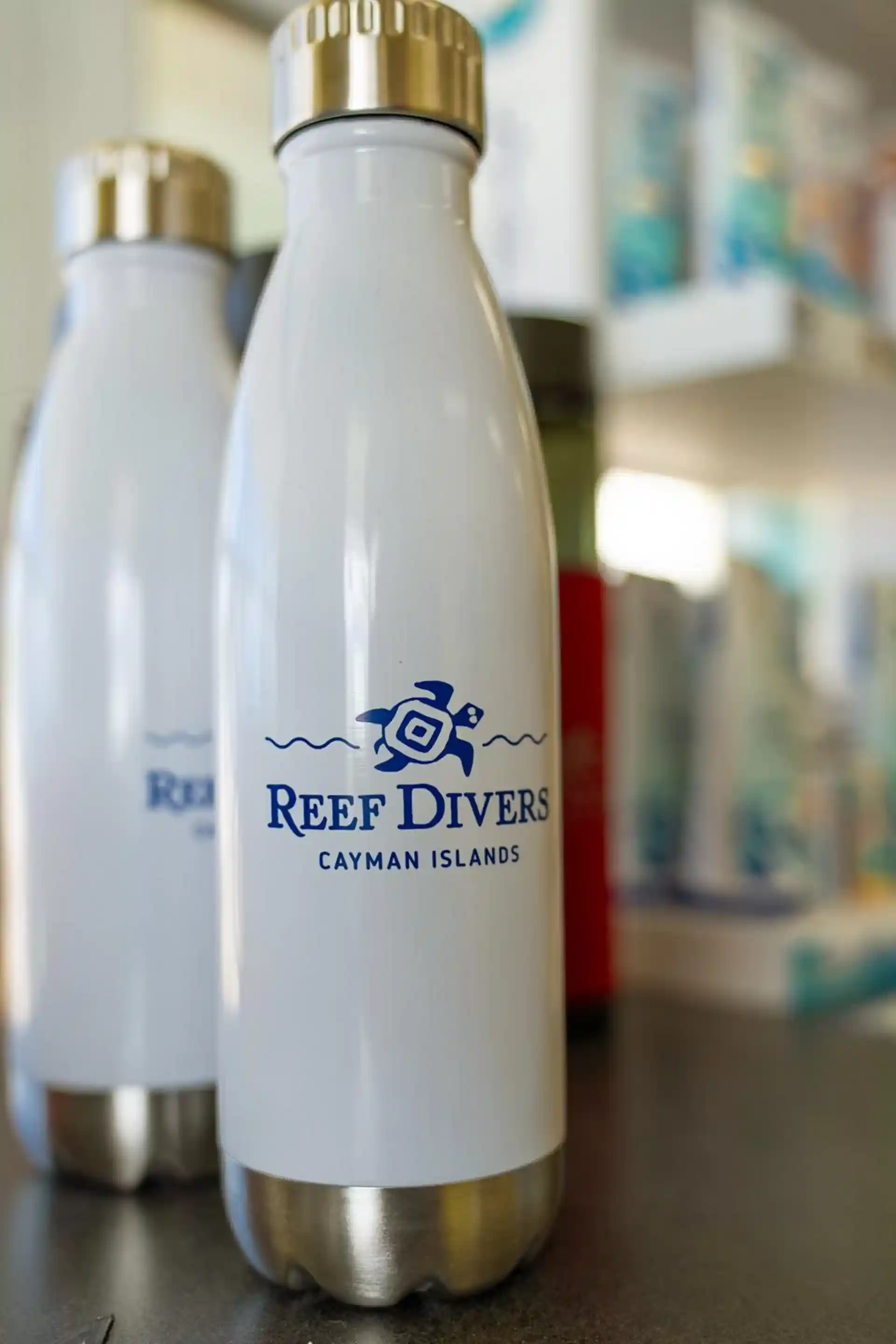 Dive shop photo