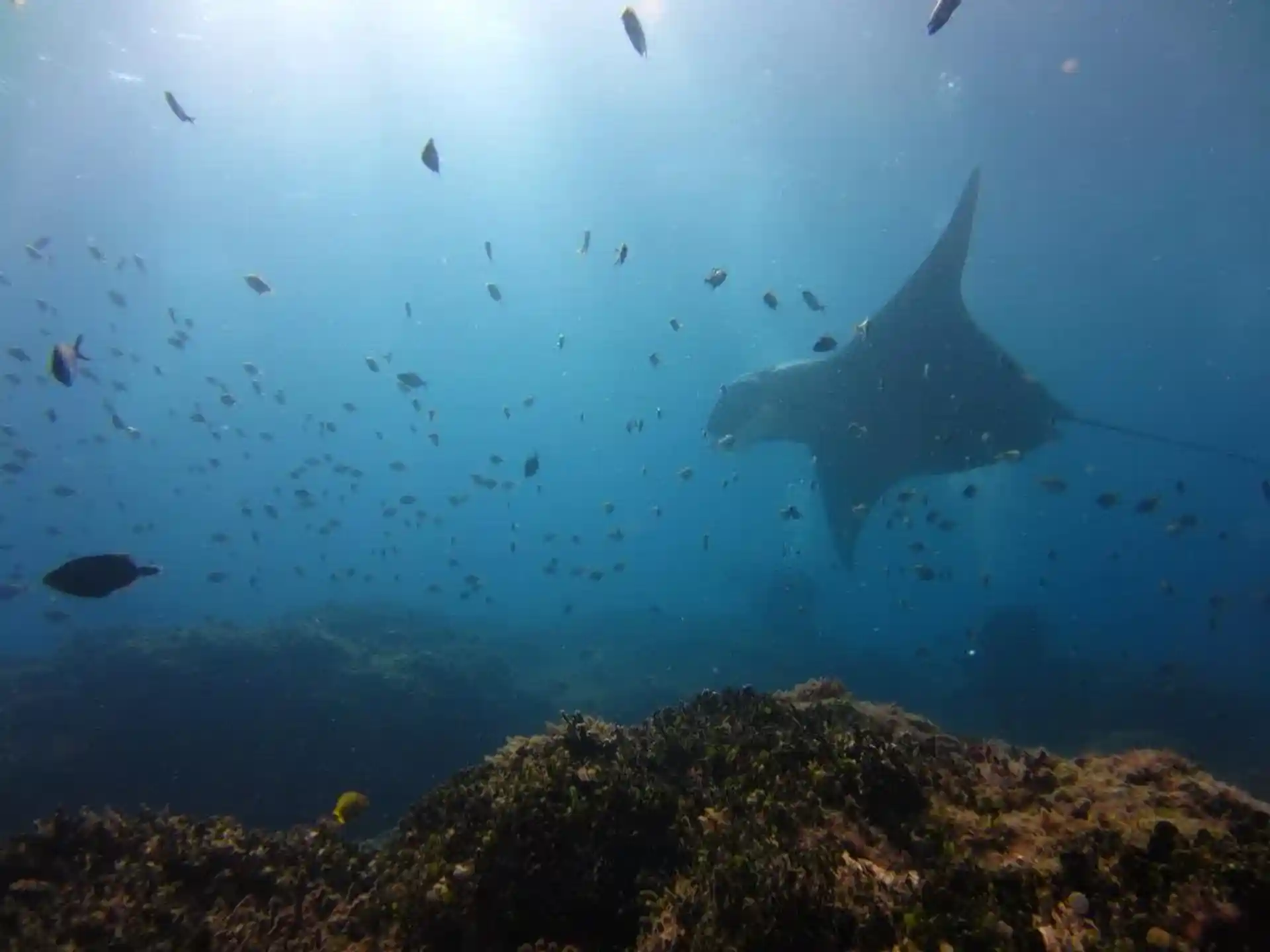 Foto del sitio de buceo