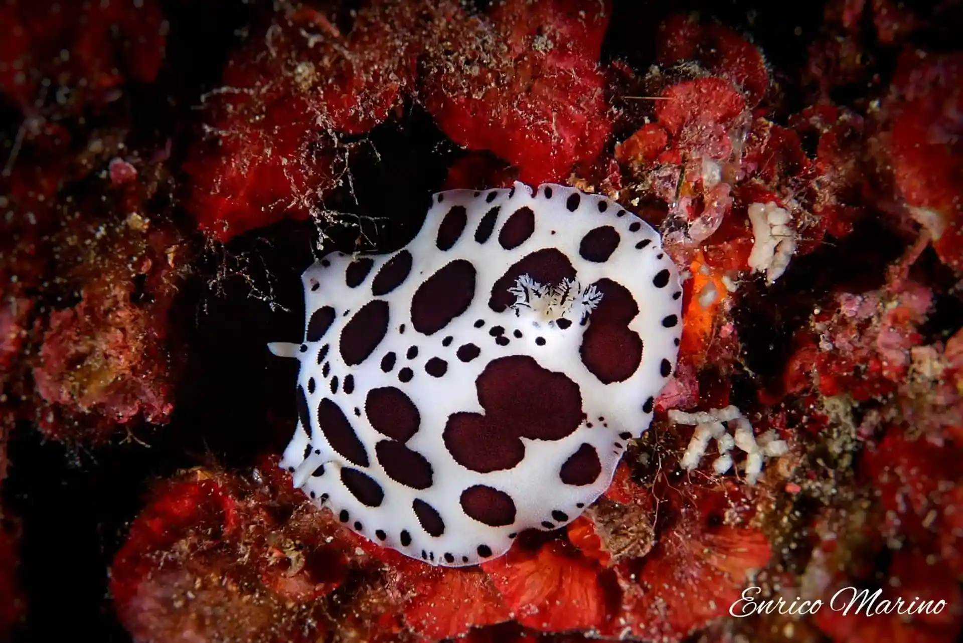 Dive site photo