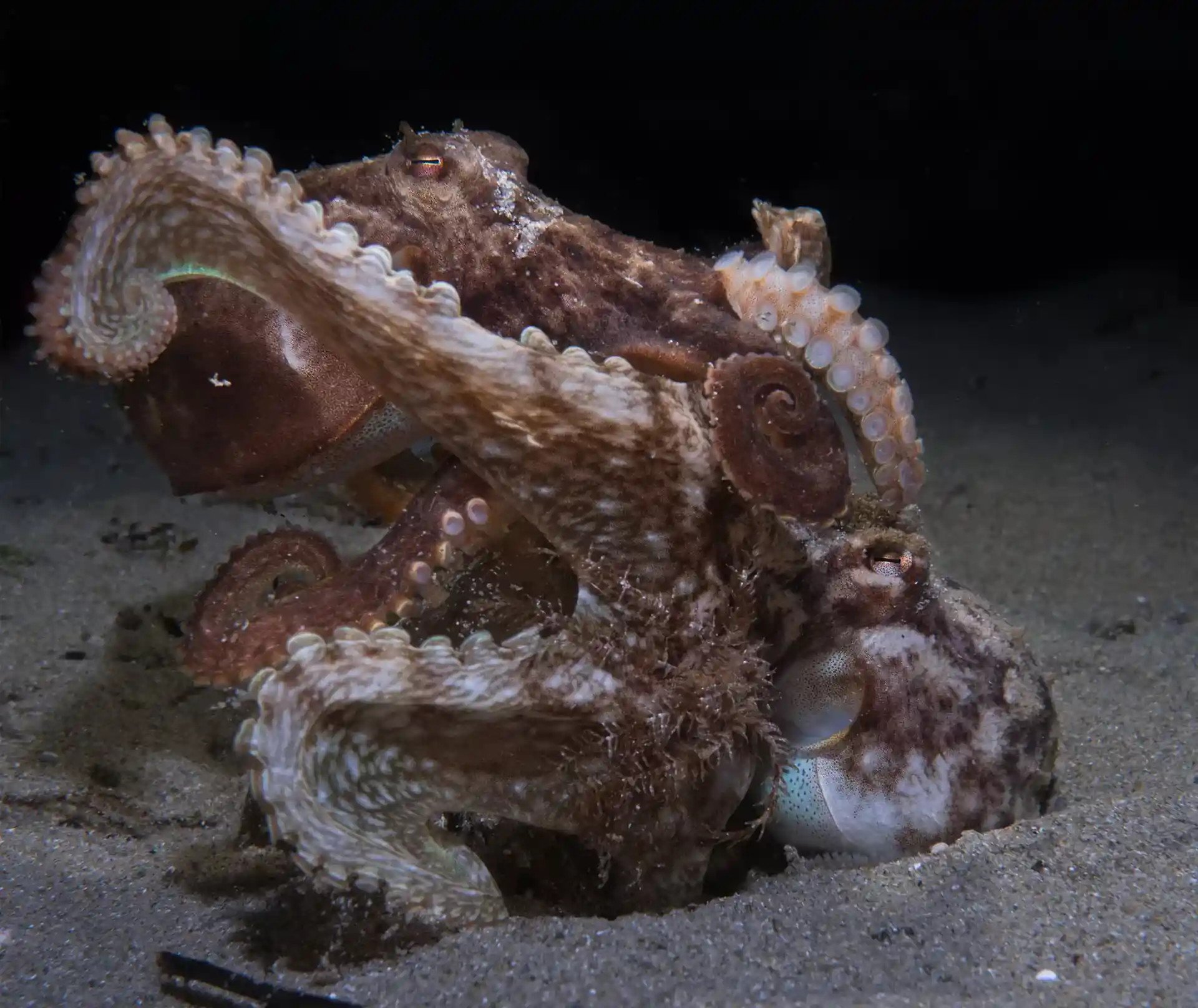 ダイビングサイトの写真