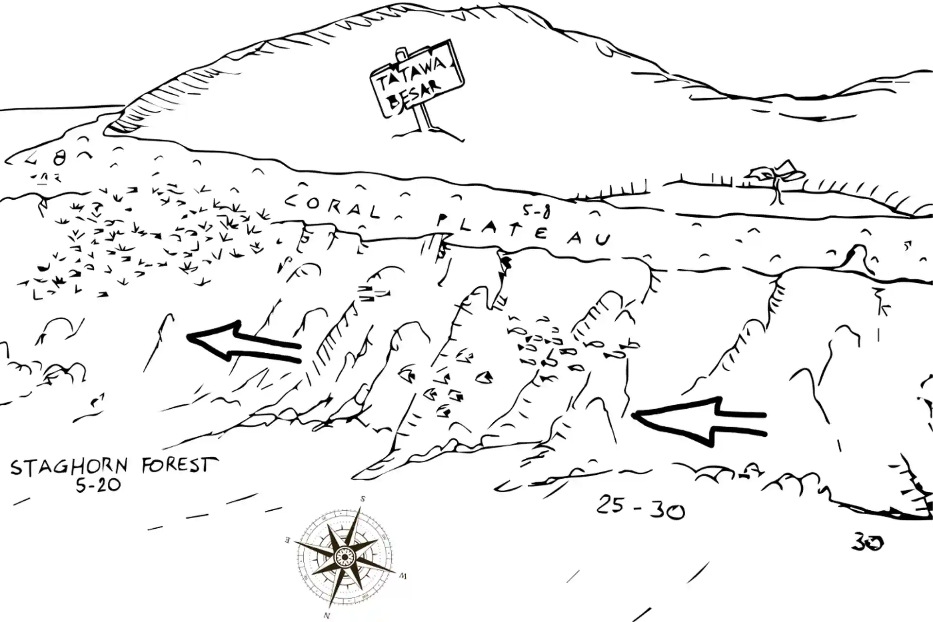 Photo du site de plongée