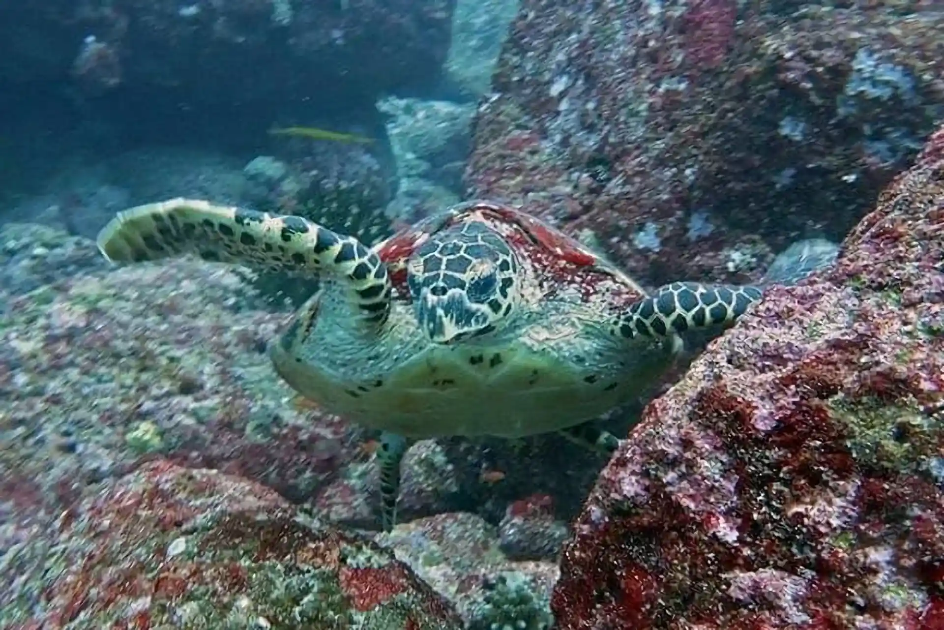 Dive site photo
