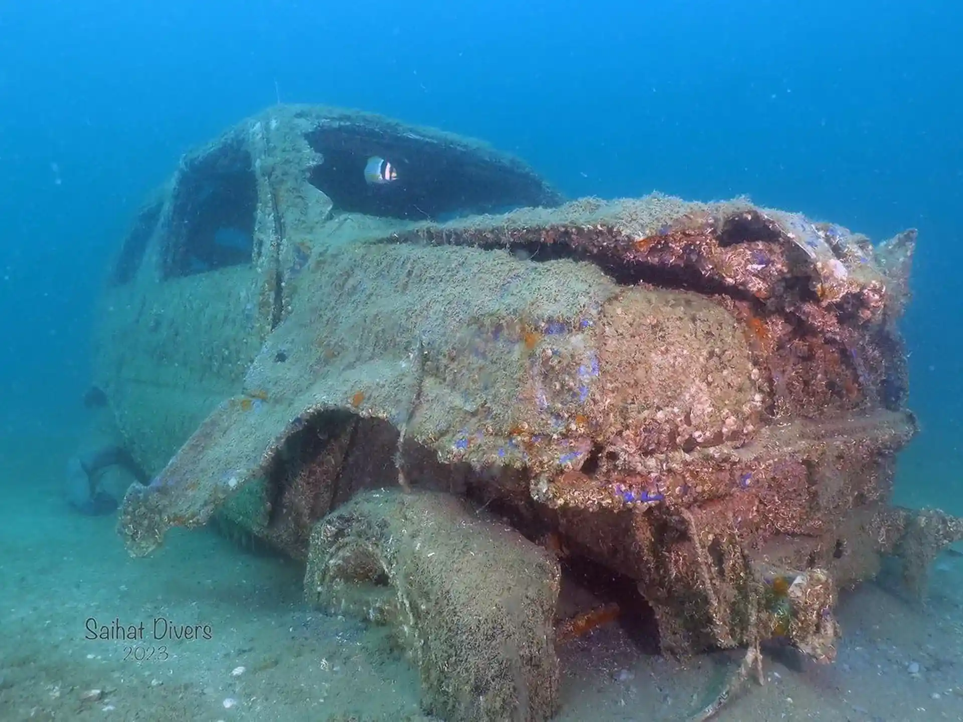 Dive shop photo