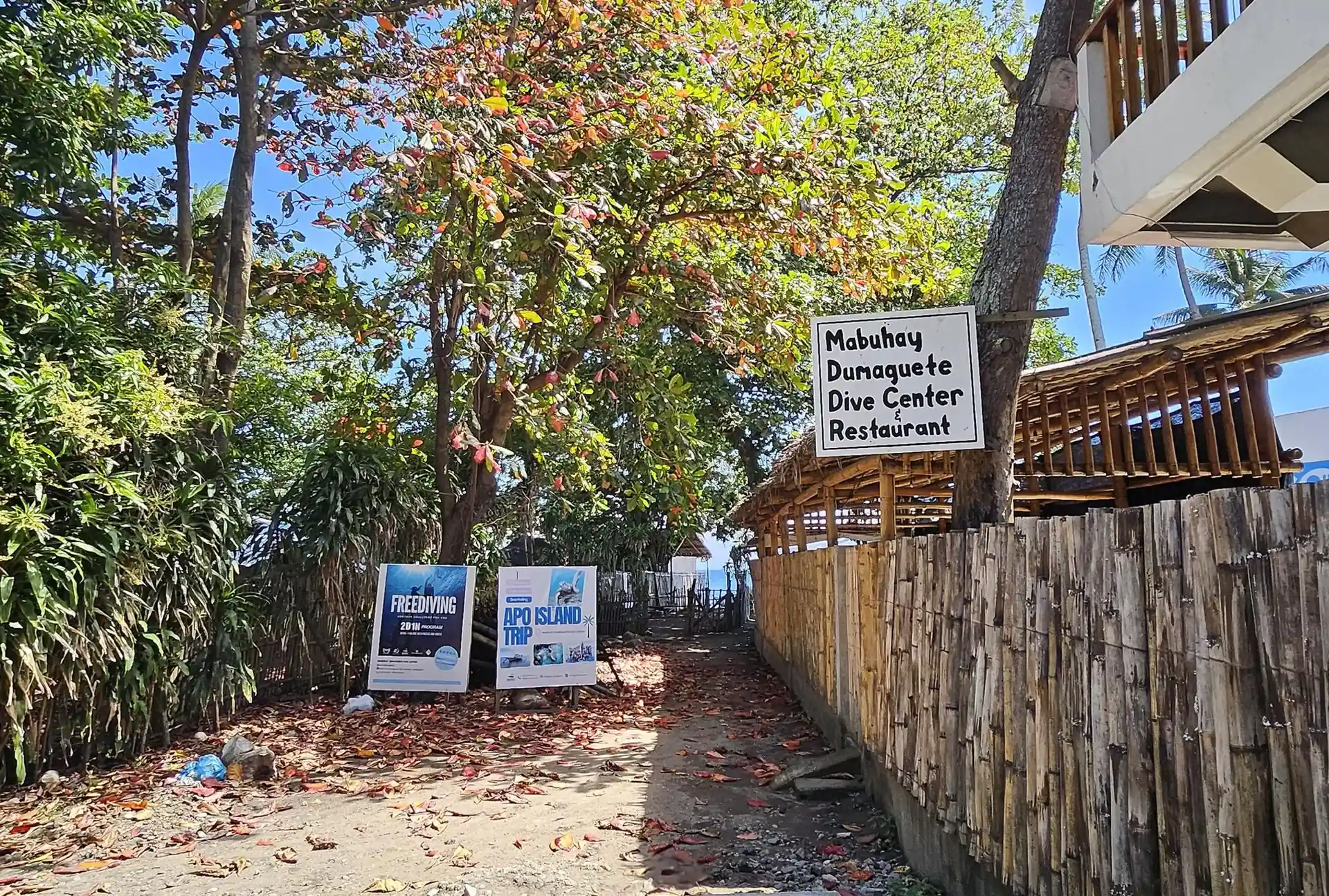 Dive shop photo