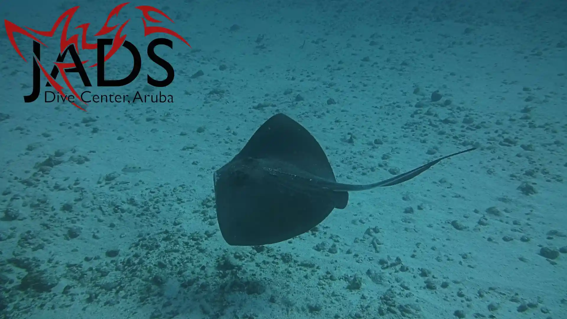 Photo du site de plongée