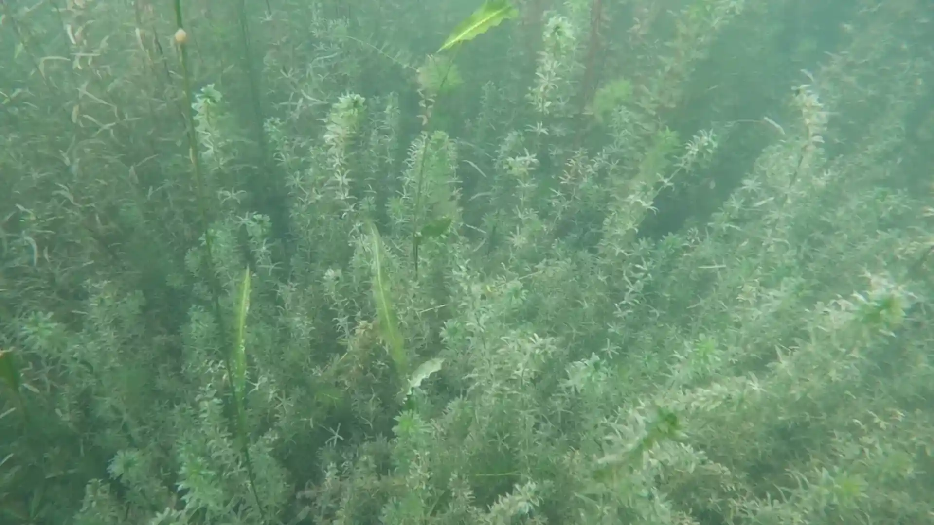 Dive site photo
