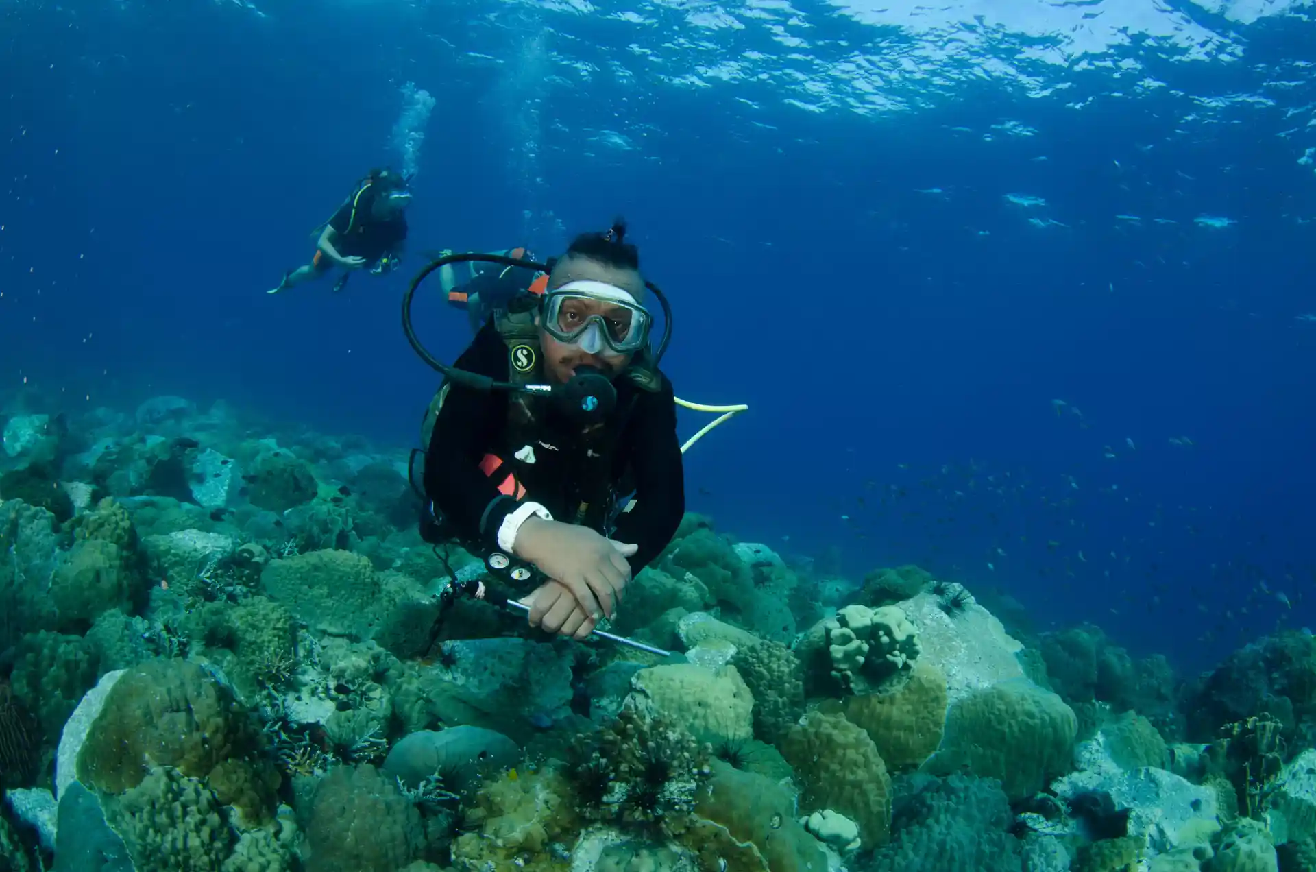 Vous plongerez à un maximum de 12 mètres sous la supervision directe d'un instructeur de plongée expérimenté